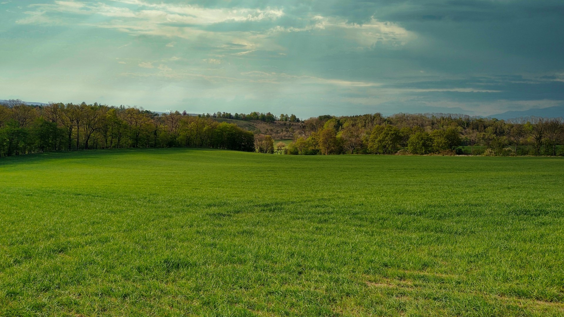 Green field with trees and cloudy sky HD Wallpaper