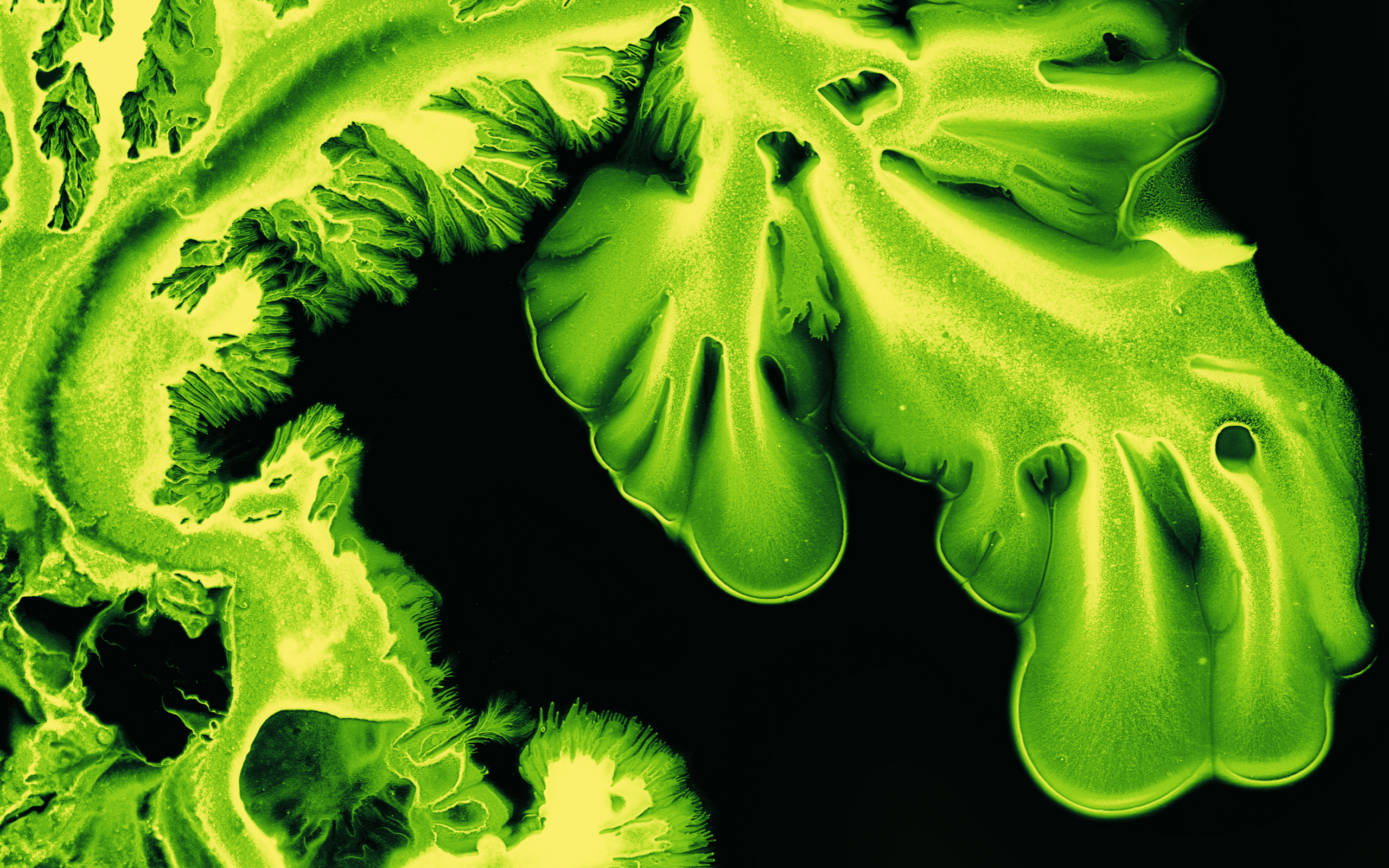 Abstract green ink art with coral-like formations HD Wallpaper