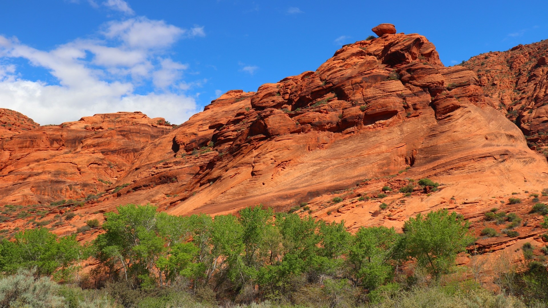 Red rock formations and green trees under blue sky HD Wallpaper