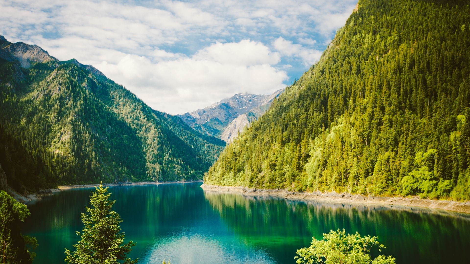 Lake surrounded by forested mountains HD Wallpaper
