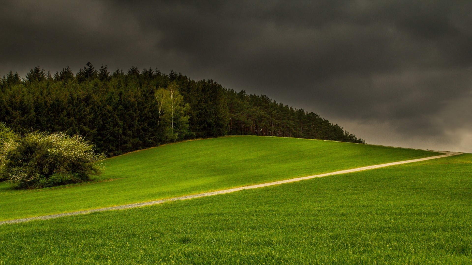 Green Hillside with Forest and Dark Clouds HD Wallpaper