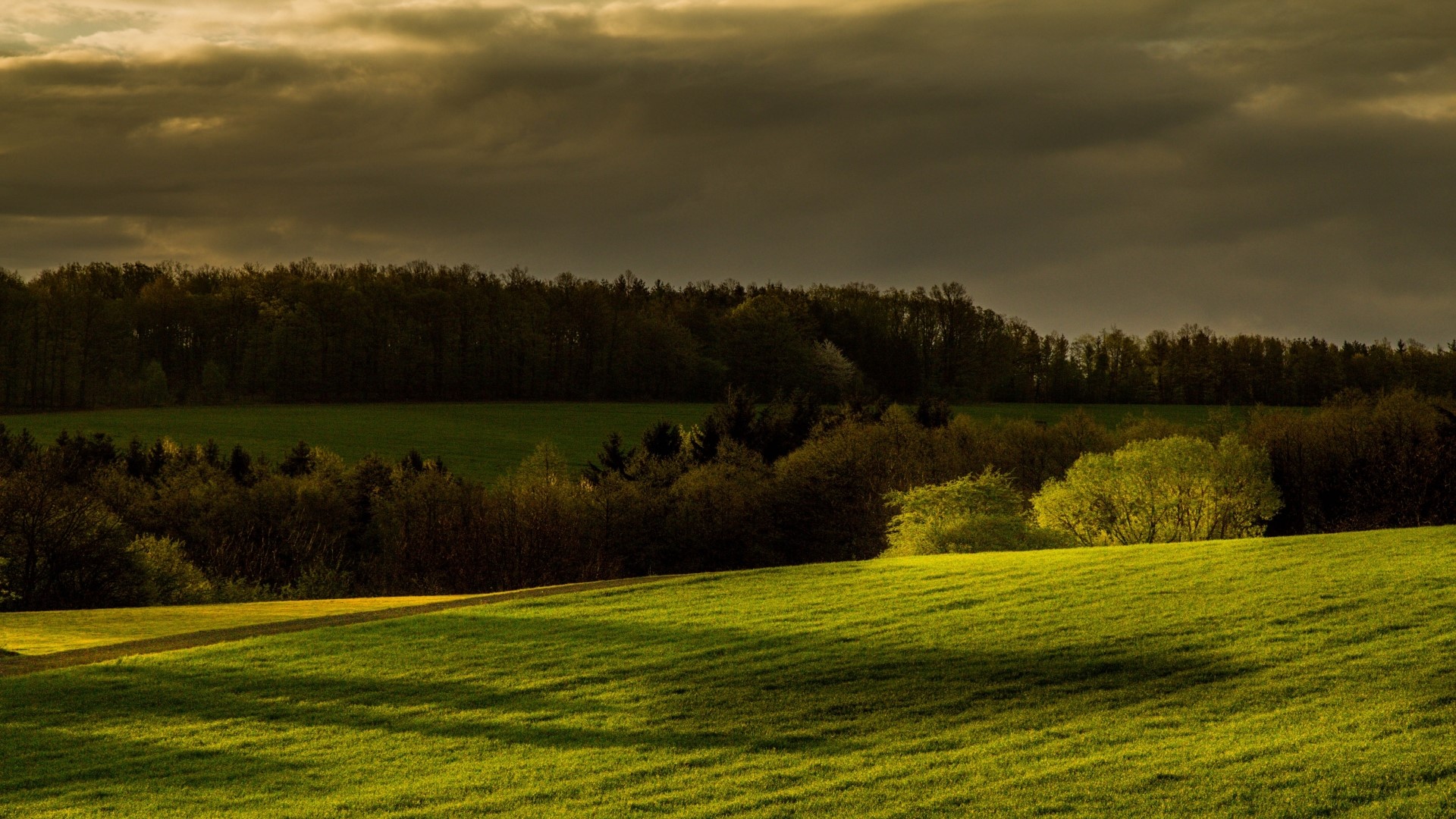 Rolling green hills and forest under dramatic sky HD Wallpaper