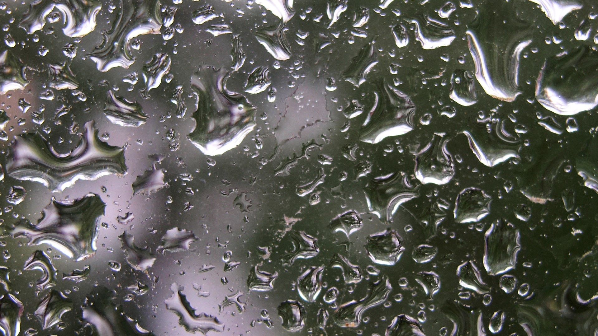Raindrops on a Window HD Wallpaper