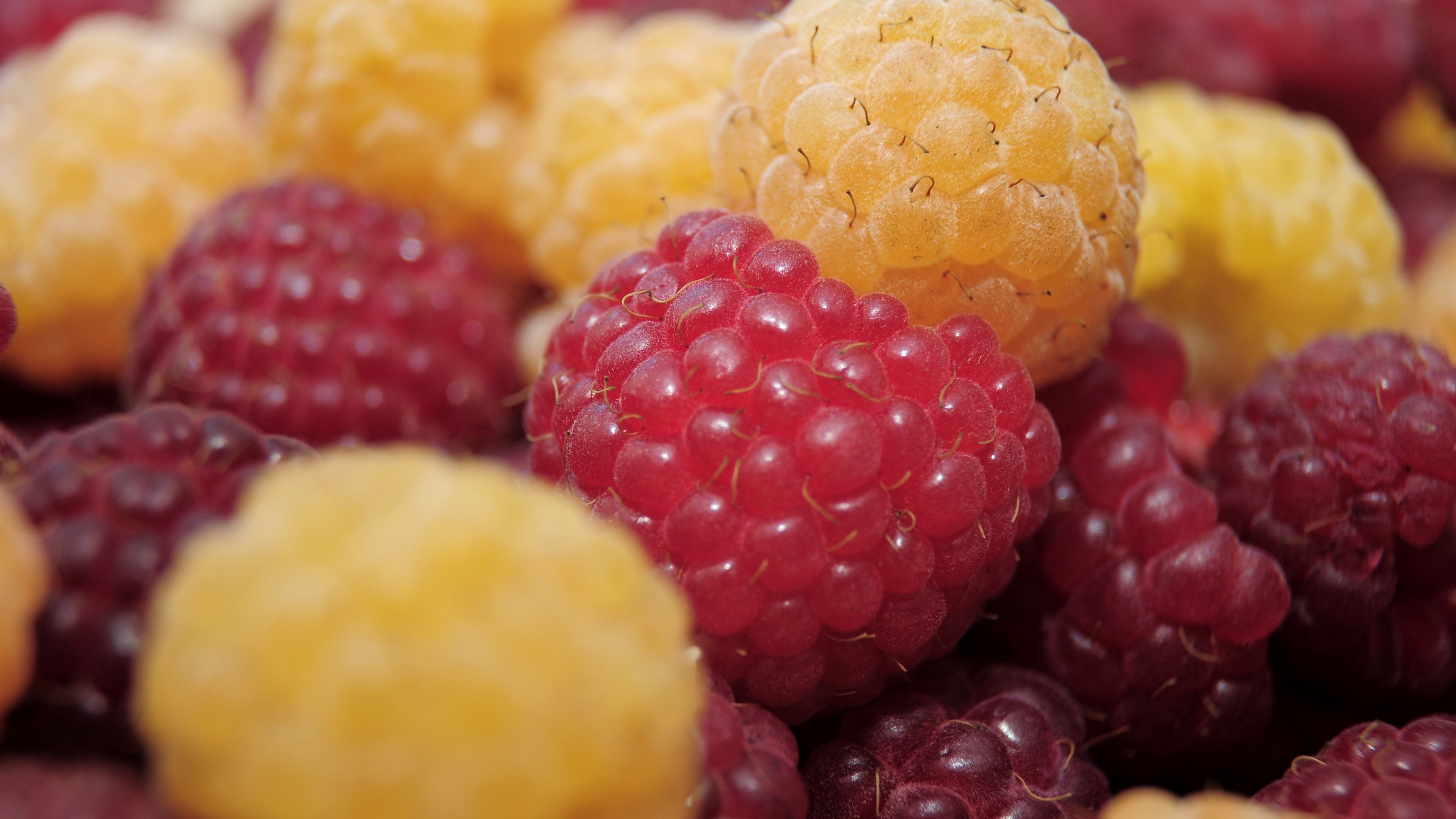 Raspberries HD Wallpaper