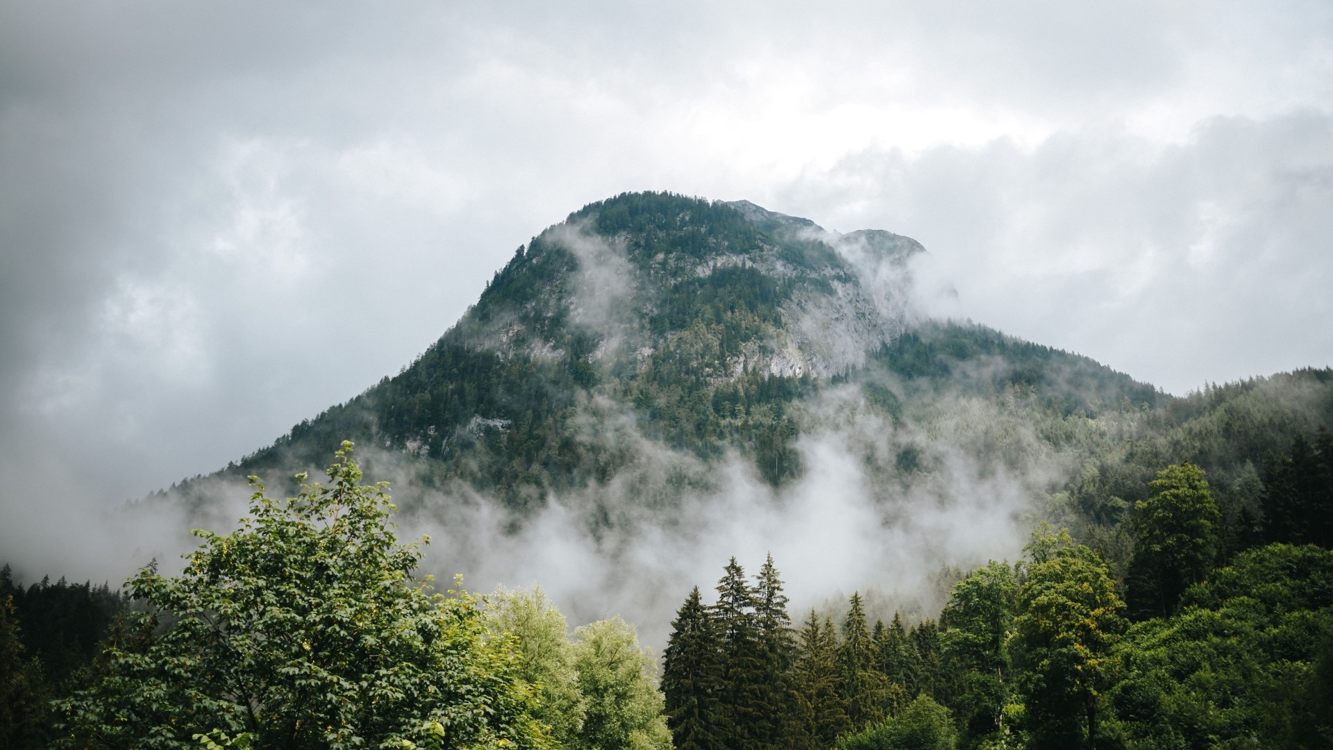Misty Mountain Peak with Forest HD Wallpaper