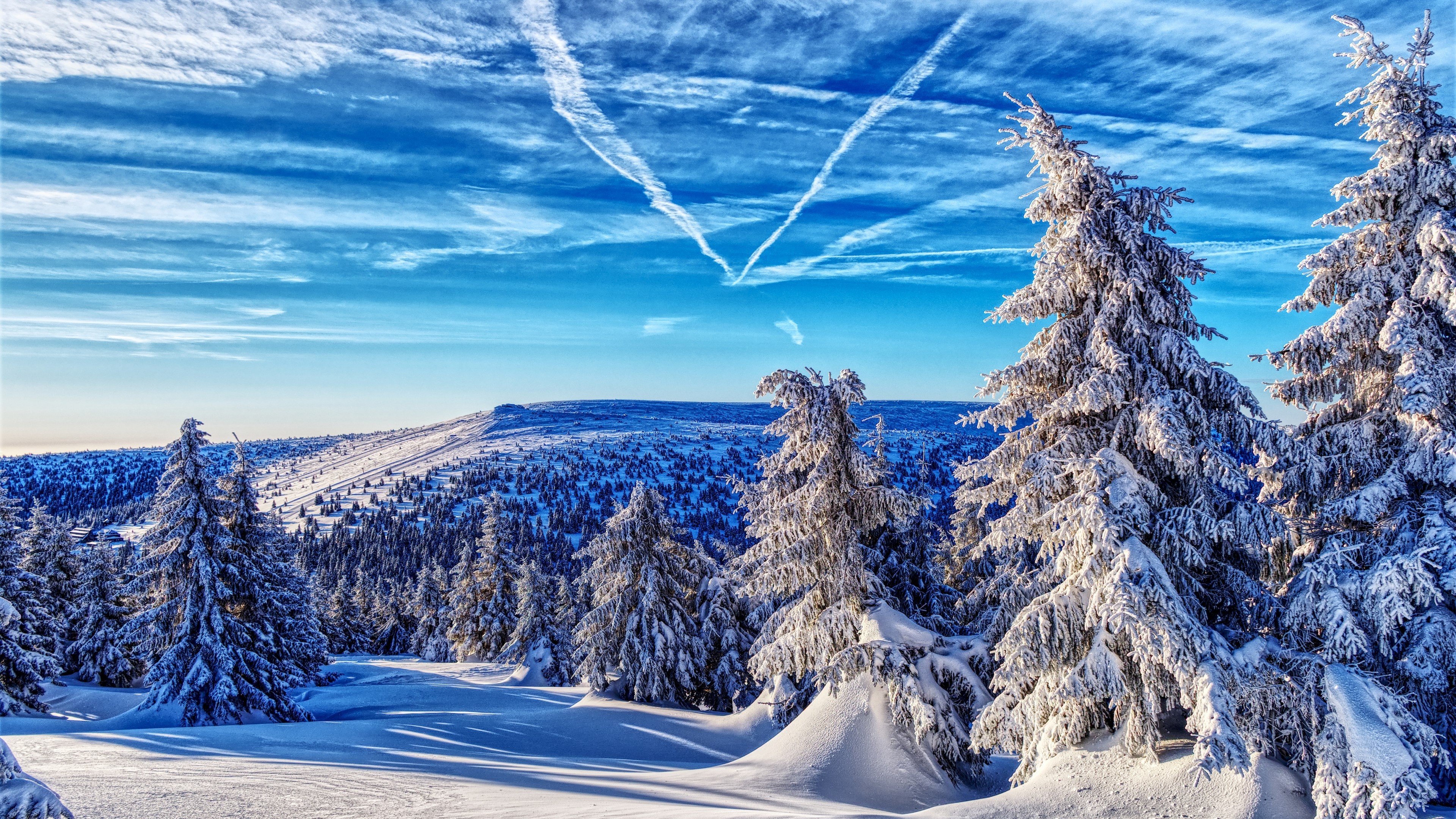 4K Snowy Mountain Landscape with Trees HD Wallpaper