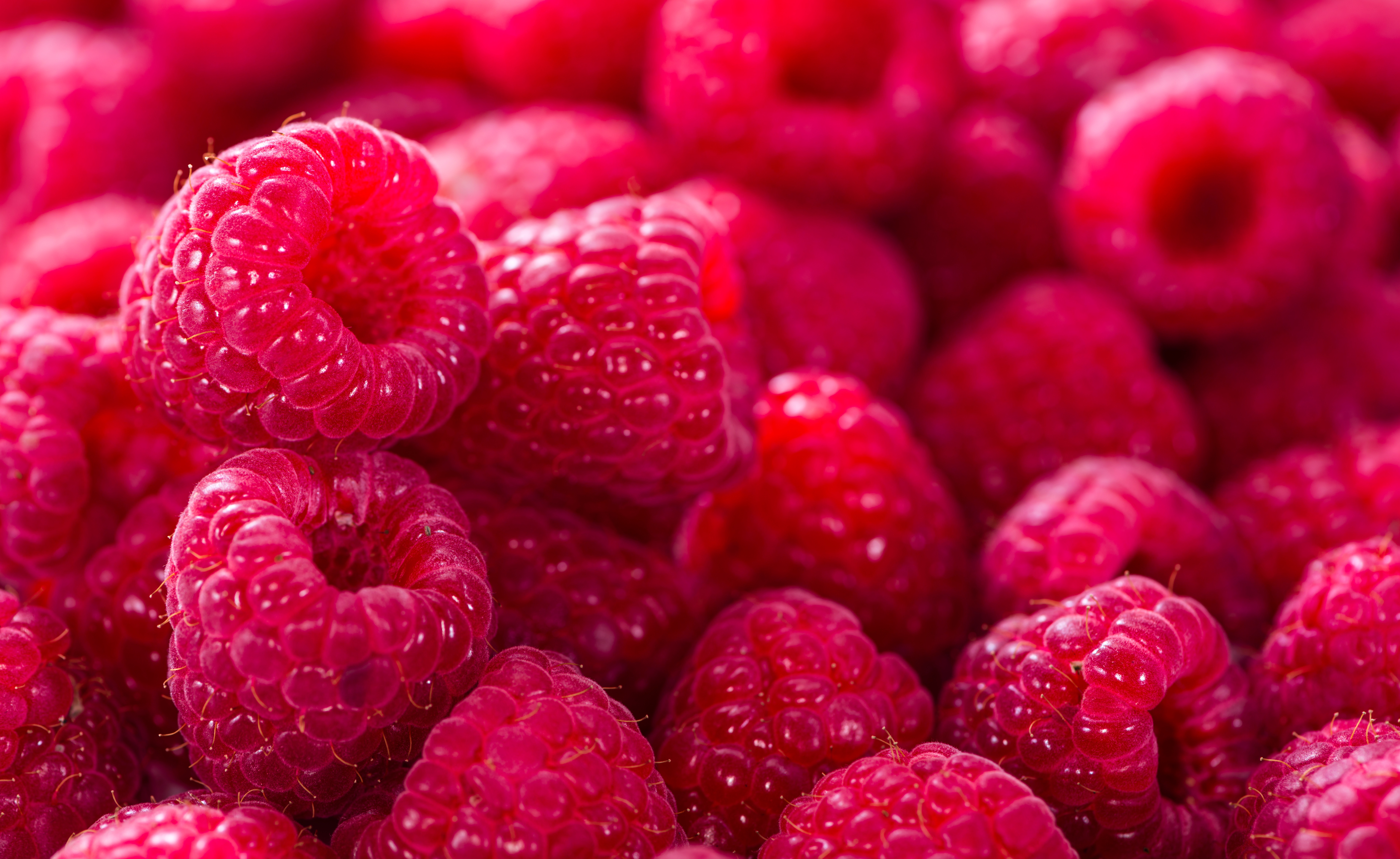Close-up of fresh red raspberries with bokeh HD Wallpaper