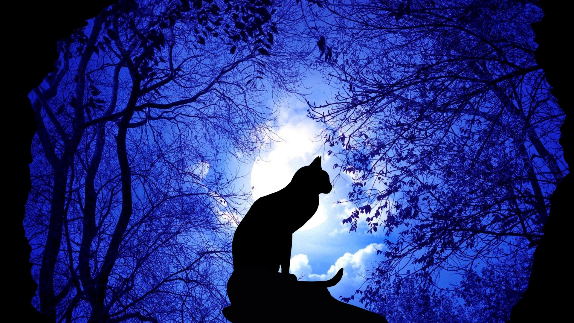 Silhouette of a cat sitting on a rock under the moon HD Wallpaper