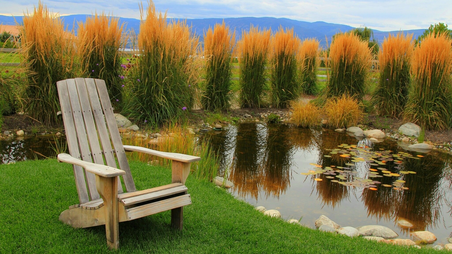 Wooden Adirondack chair by a pond with tall grasses HD Wallpaper