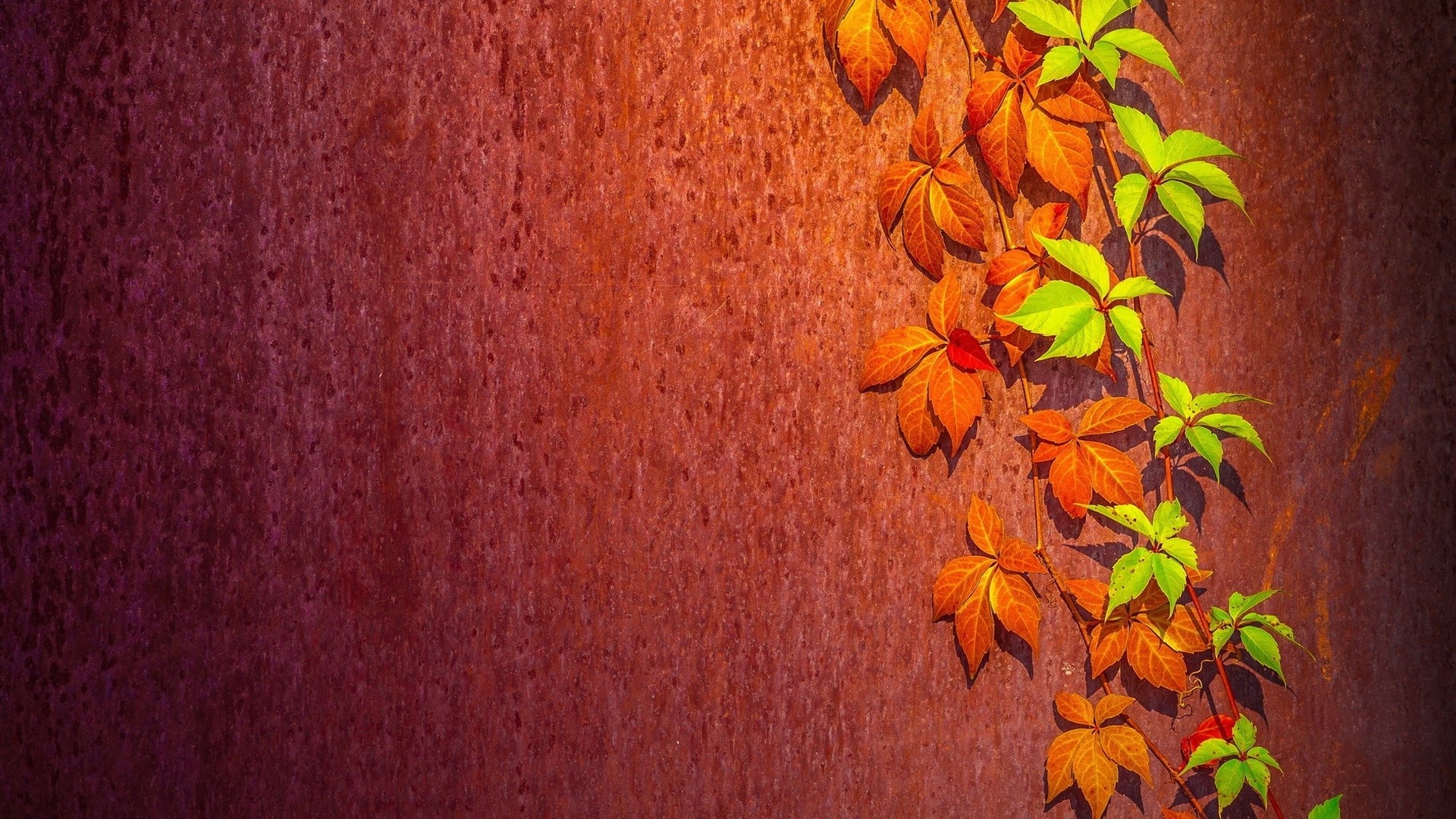 Autumn leaves on a textured wall HD Wallpaper