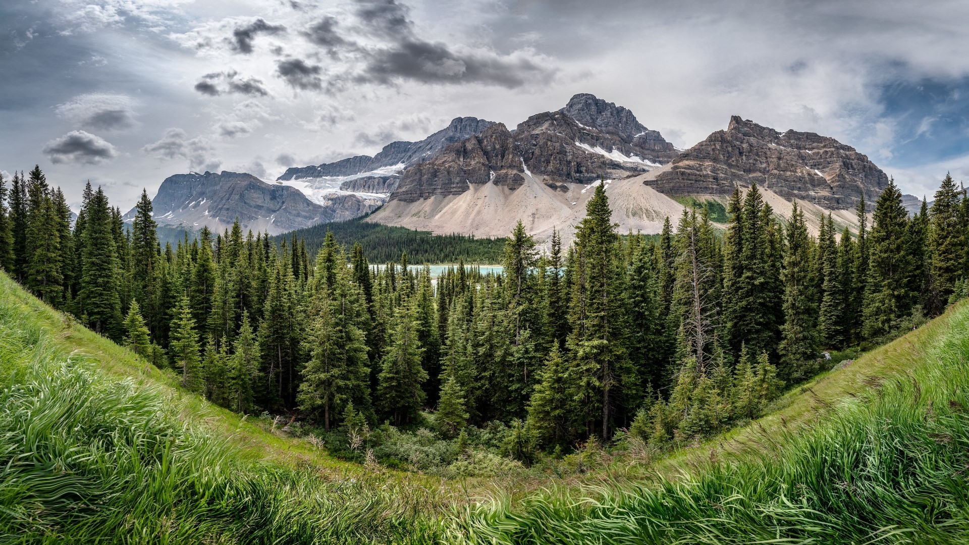 Mountains and forest with lake HD Wallpaper