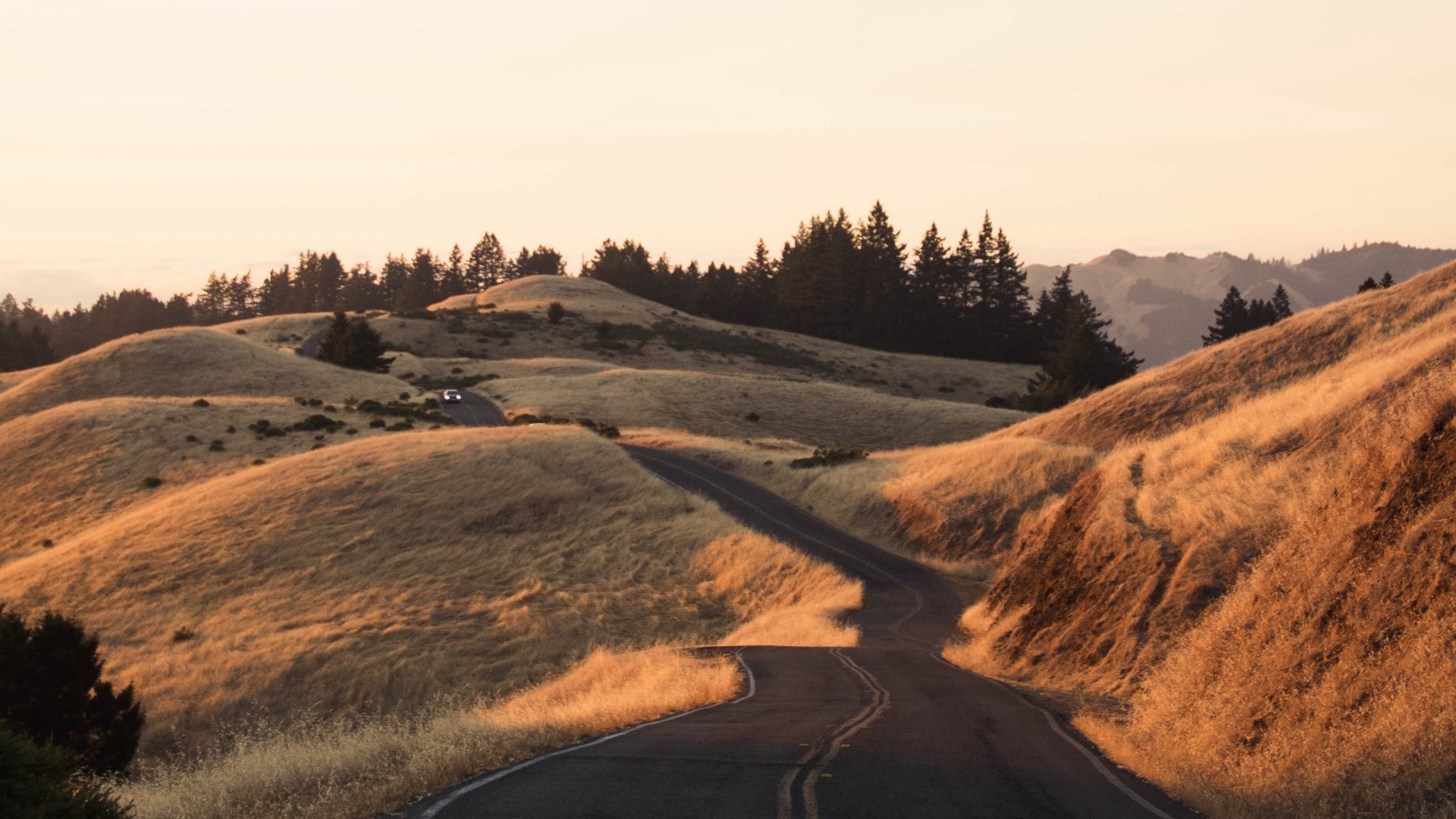 Winding road through golden hills at sunset HD Wallpaper