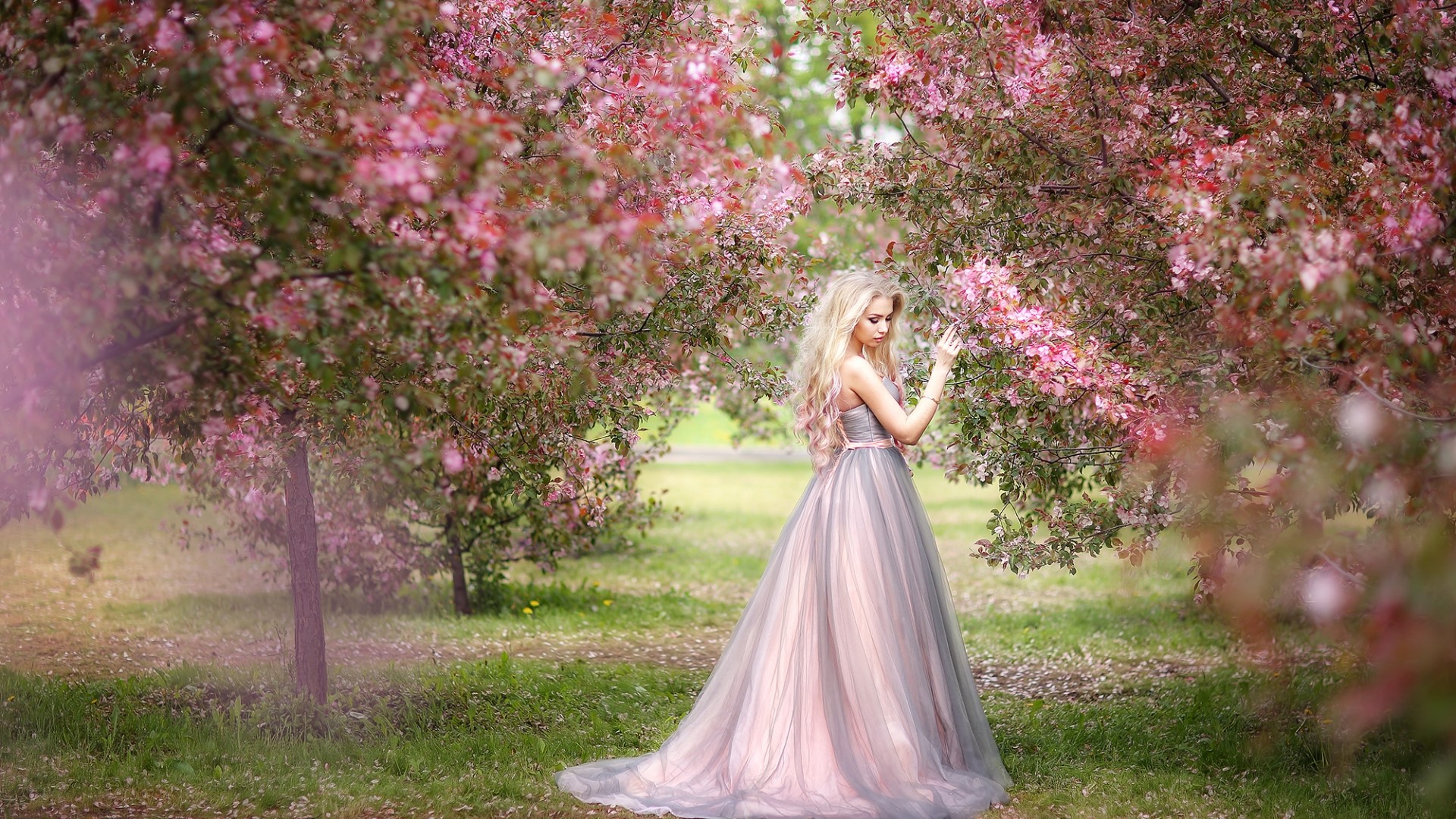 Girl in a pink and grey dress among flowering trees HD Wallpaper