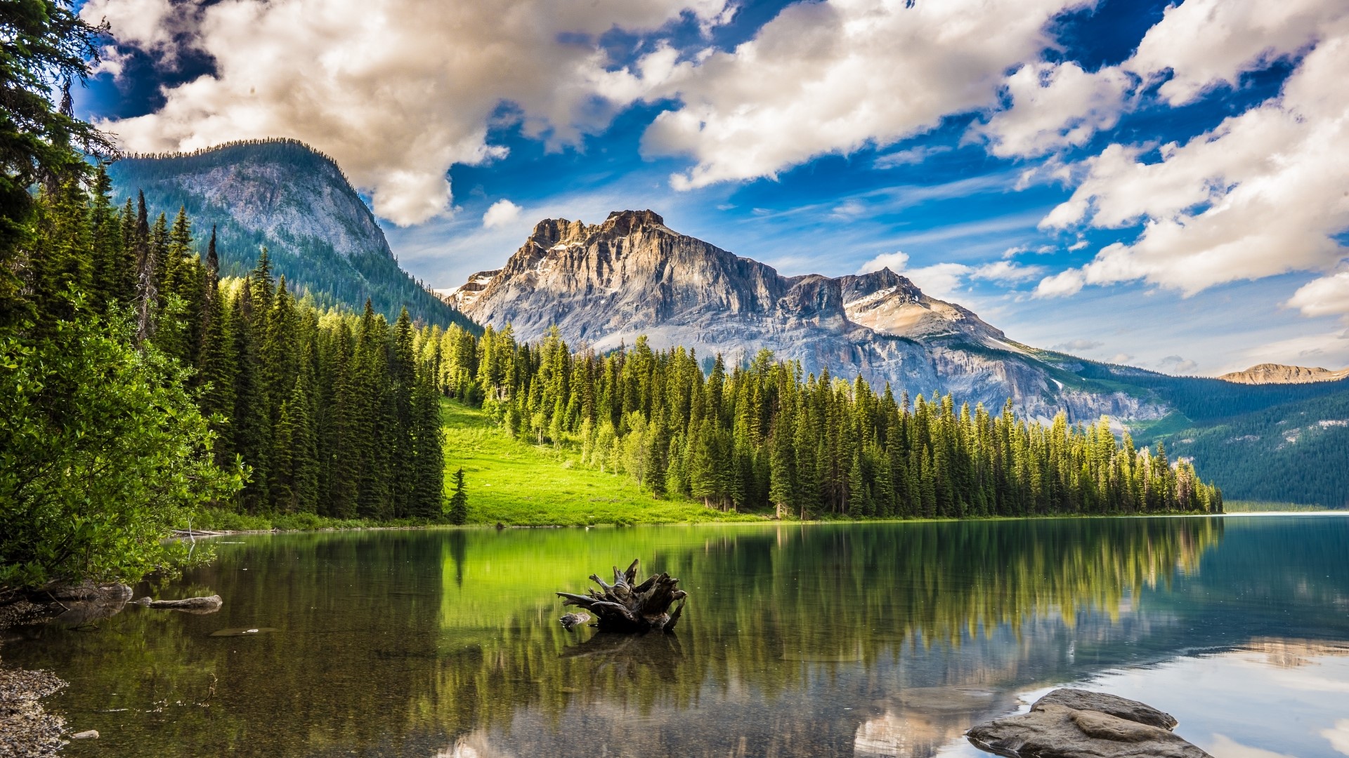 Lake and Mountains with Forest Reflection HD Wallpaper