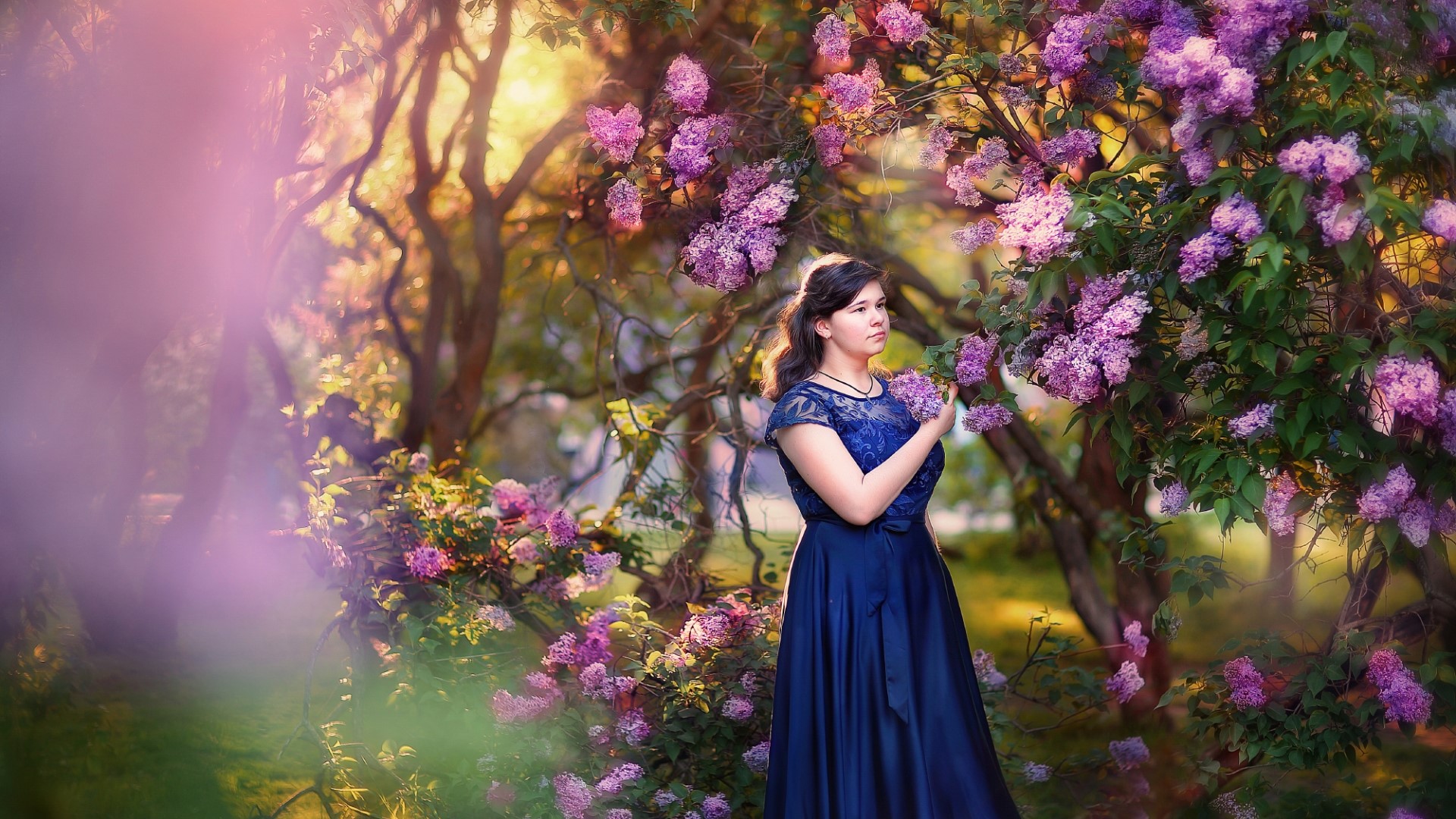 Girl in a blue dress among lilac bushes HD Wallpaper