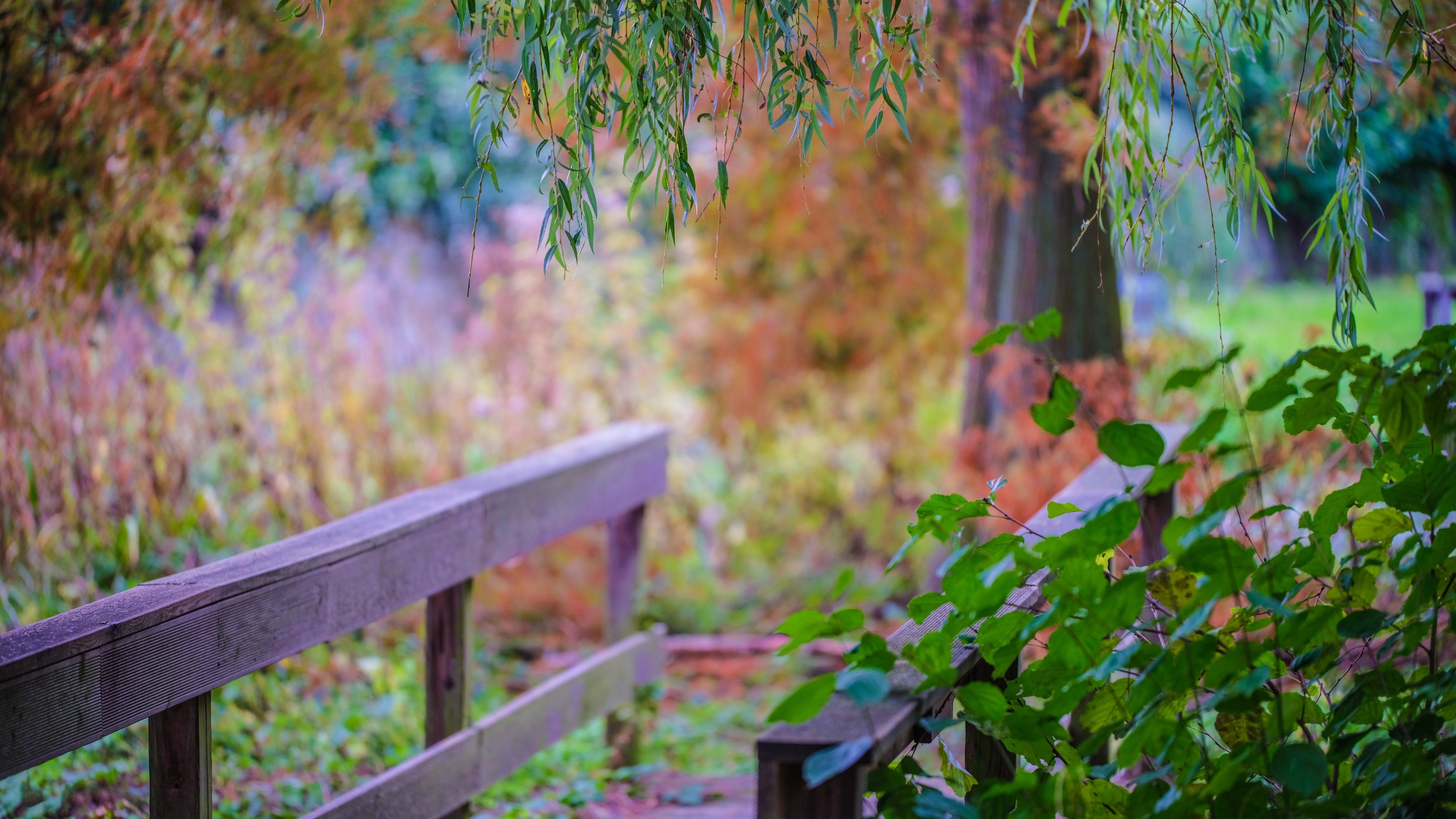 Wooden bridge in a park with autumn foliage HD Wallpaper