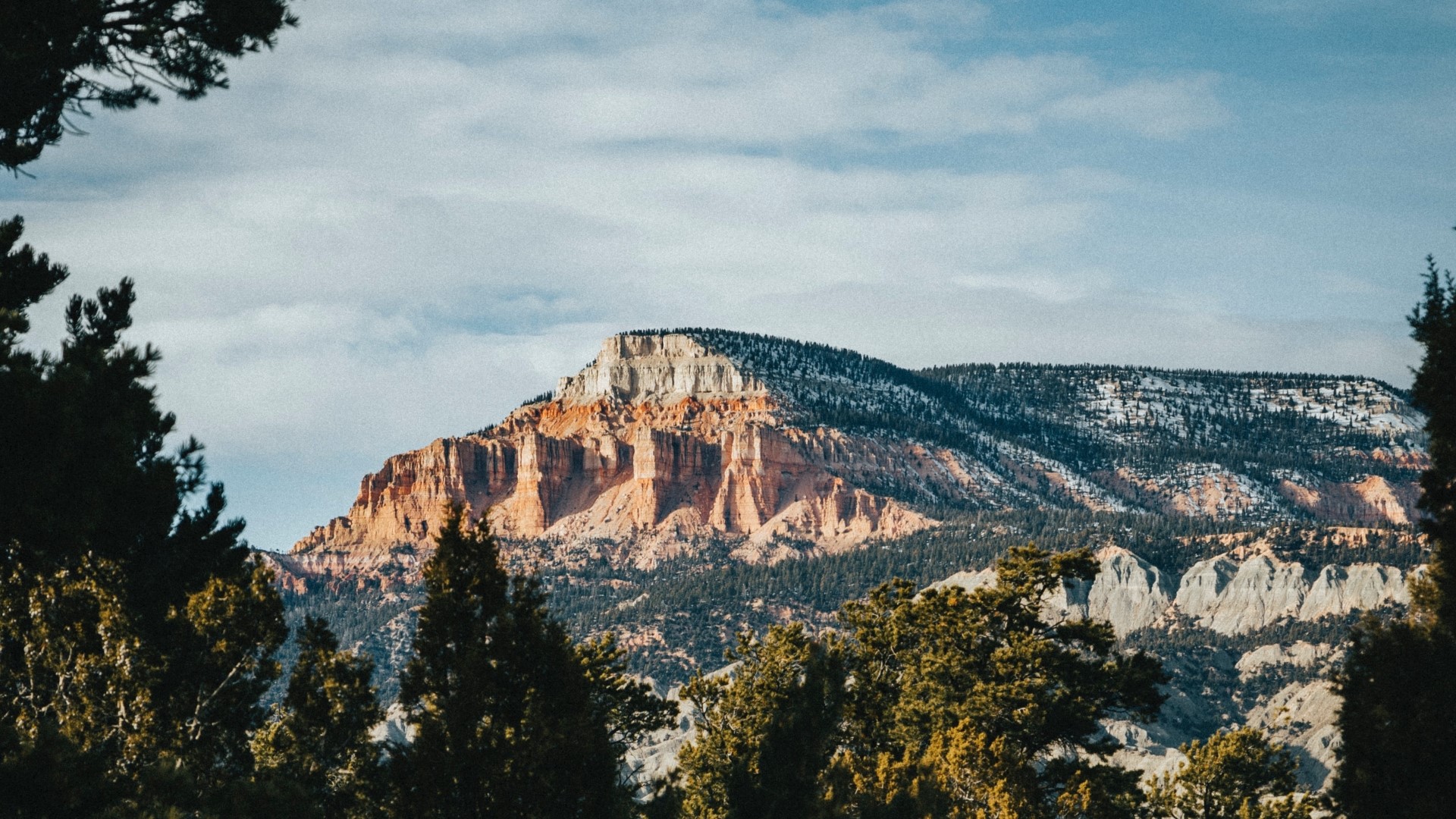 Mountain landscape with trees and sky HD Wallpaper