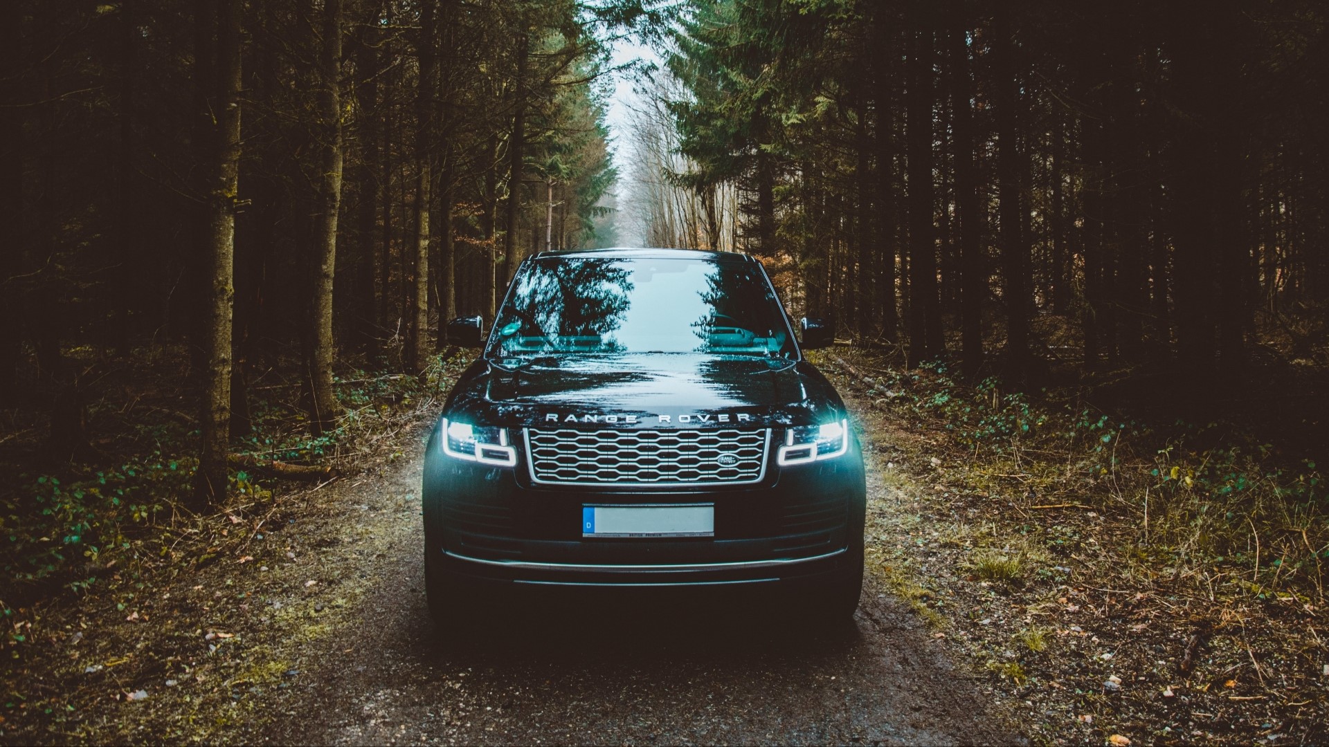 Black Range Rover on a forest road HD Wallpaper