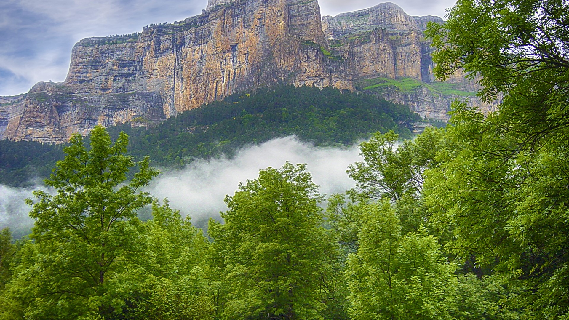 Mountain landscape with trees and fog HD Wallpaper