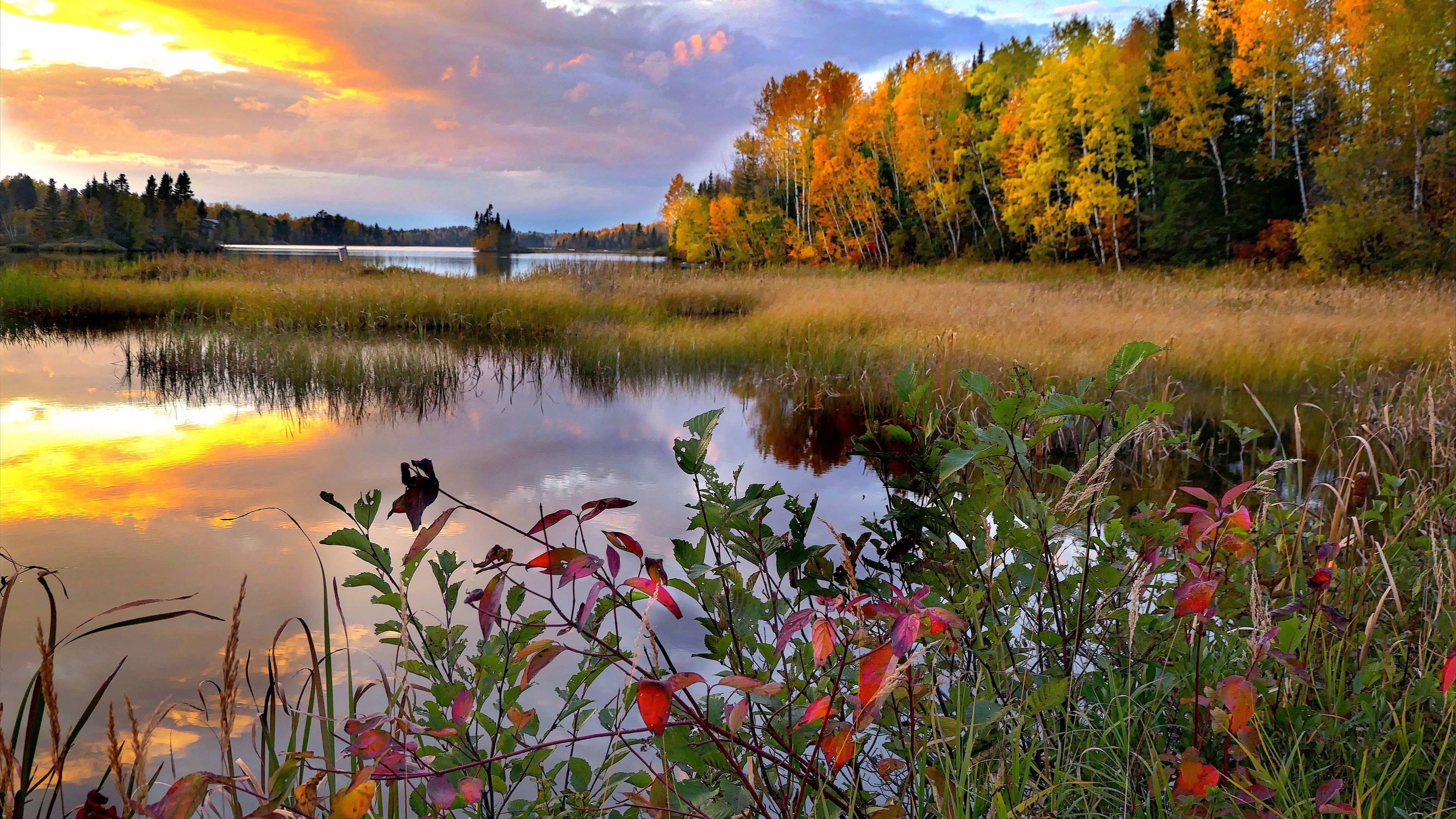 4K Autumn Landscape with Lake and Colorful Trees HD Wallpaper
