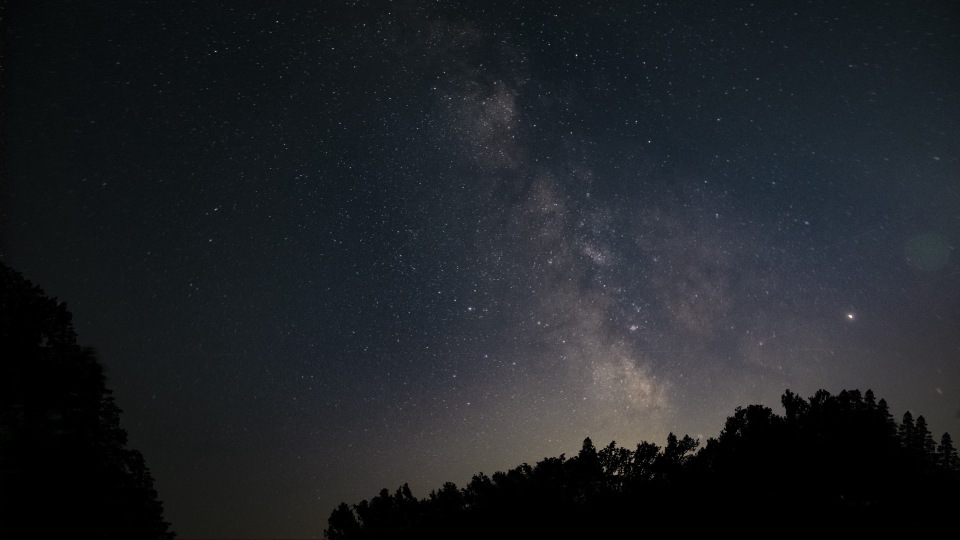 Starry night sky over silhouetted trees HD Wallpaper