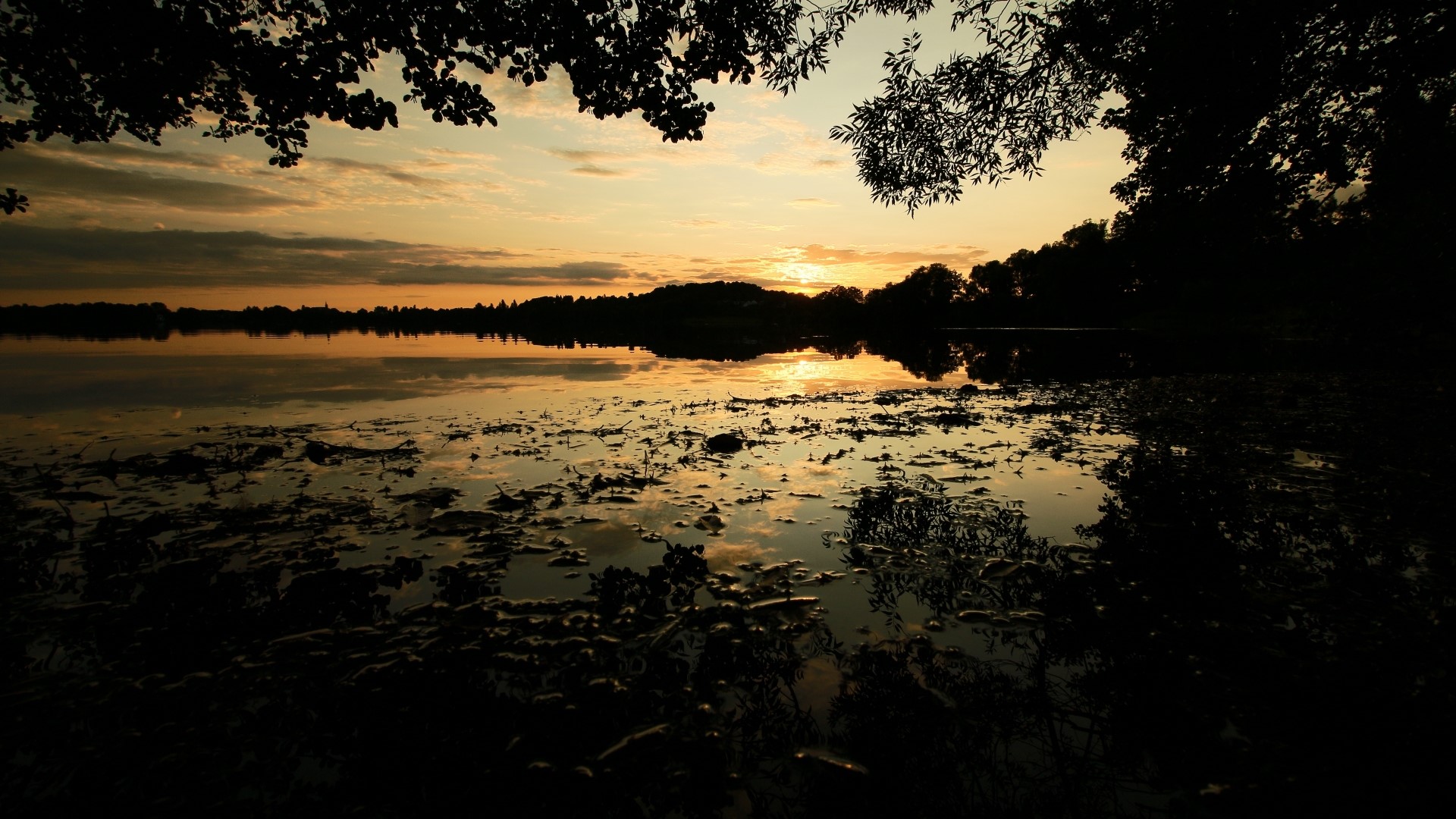 Sunset over a lake with trees HD Wallpaper