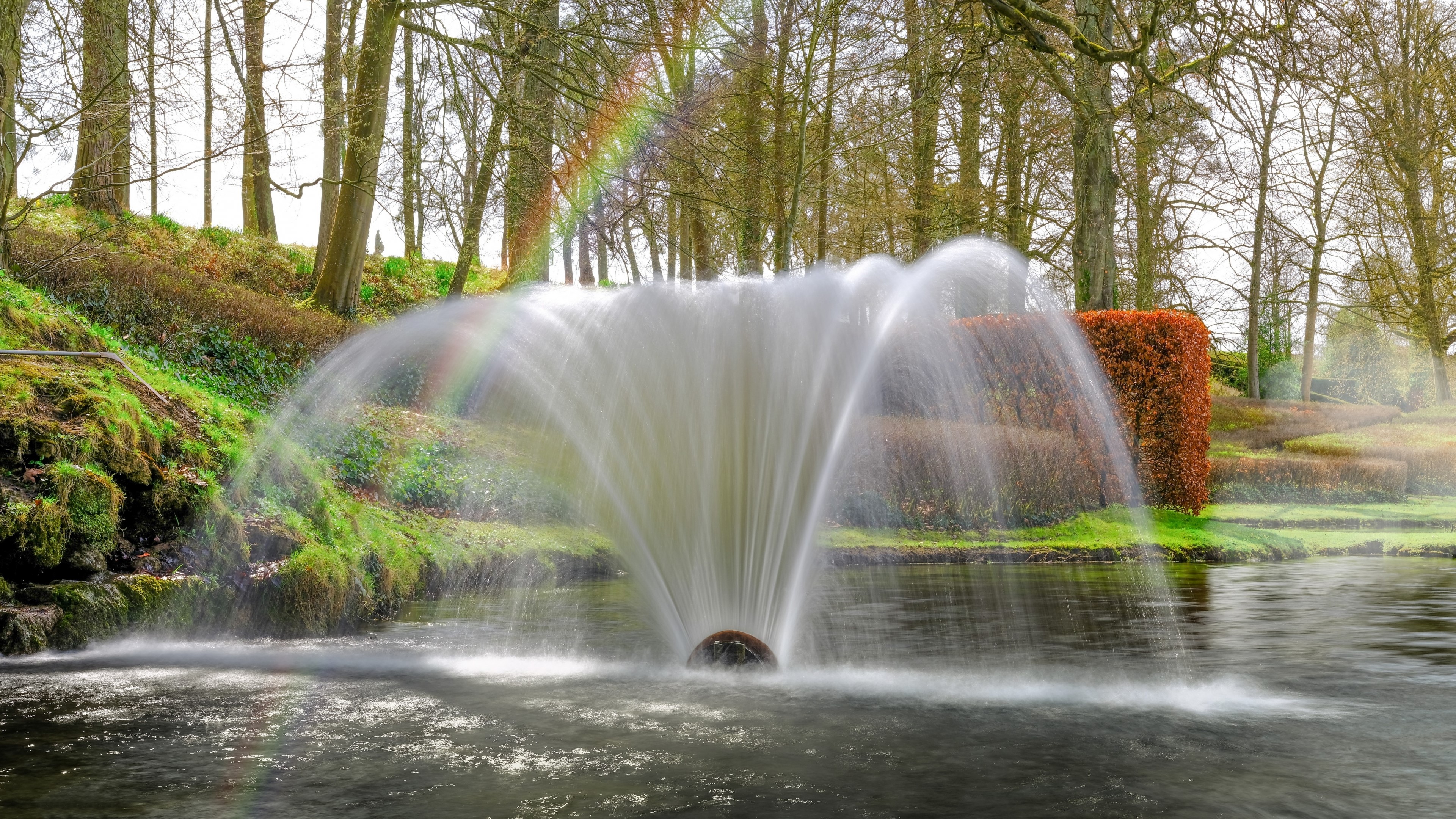 Fountain in a park with trees and a rainbow HD Wallpaper