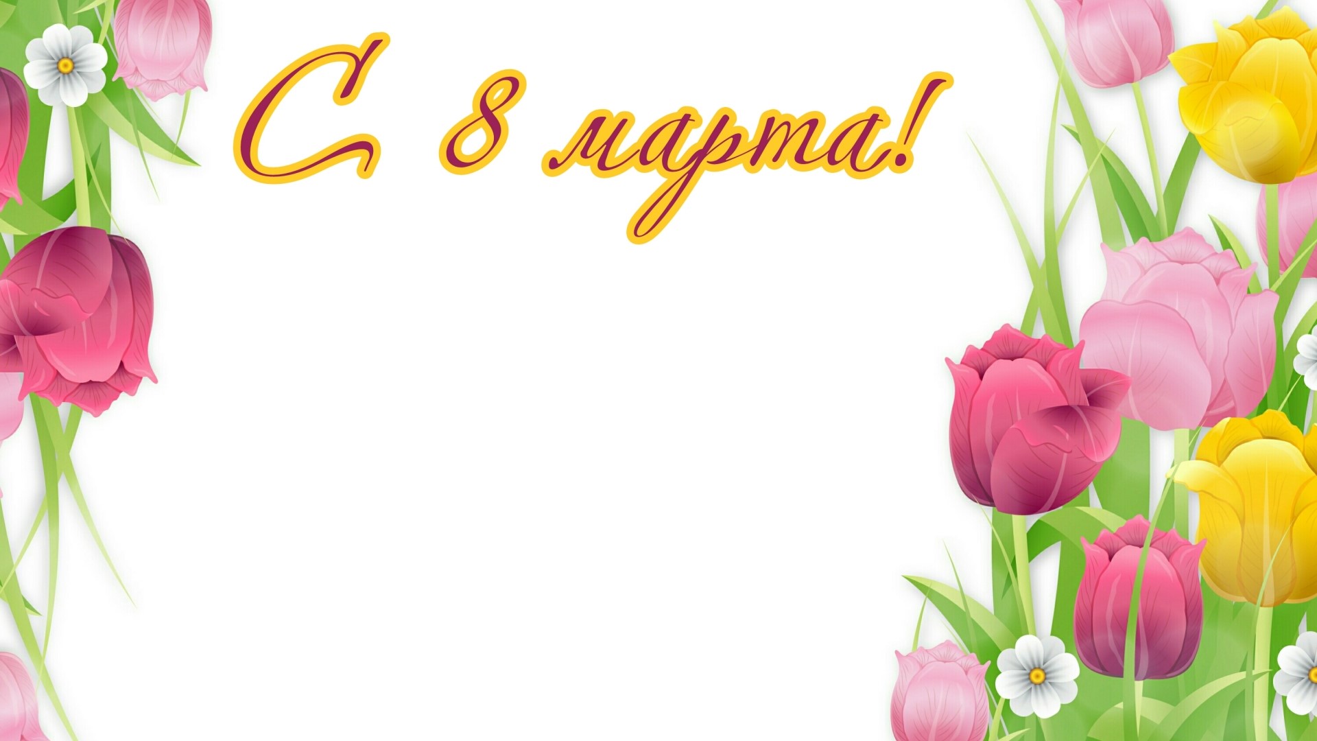 Happy March 8th Tulips HD Wallpaper
