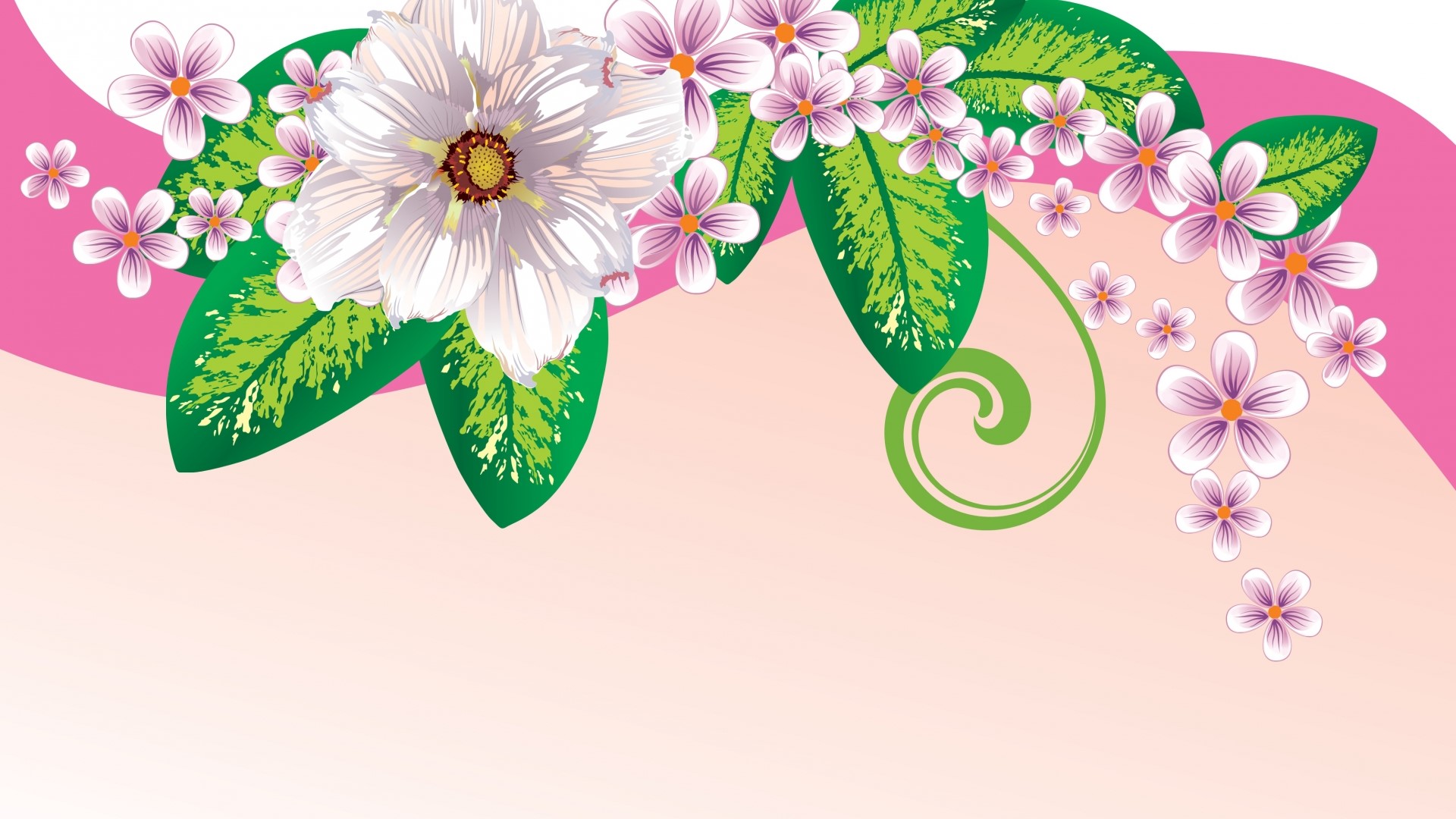 Vector illustration of pink and white flowers with green leaves HD Wallpaper