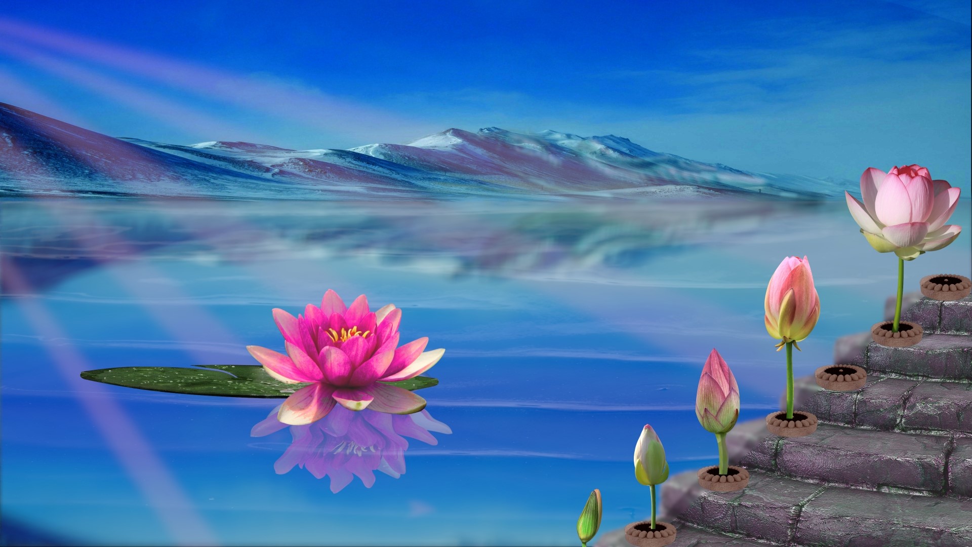 Lotus flowers on a lake with mountains HD Wallpaper