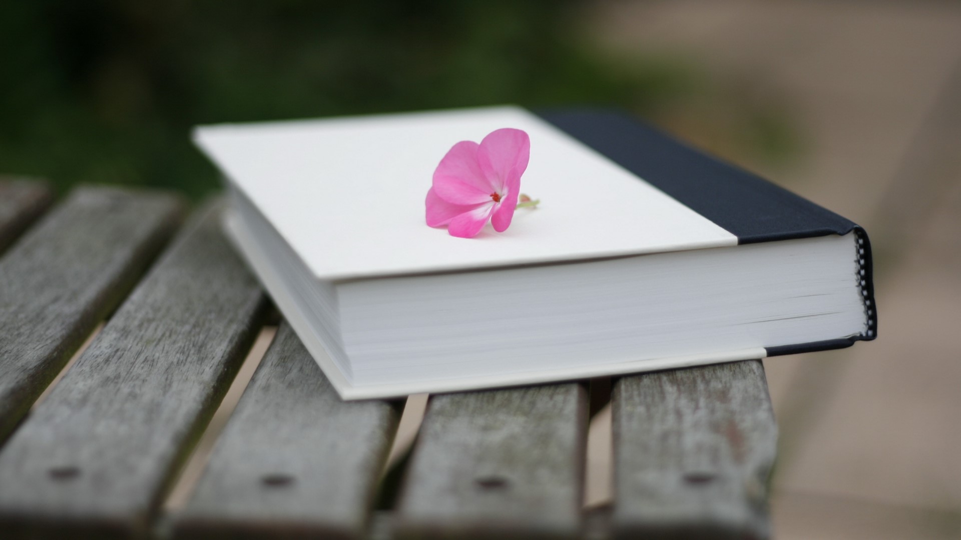 Book with pink flower on a wooden bench HD Wallpaper