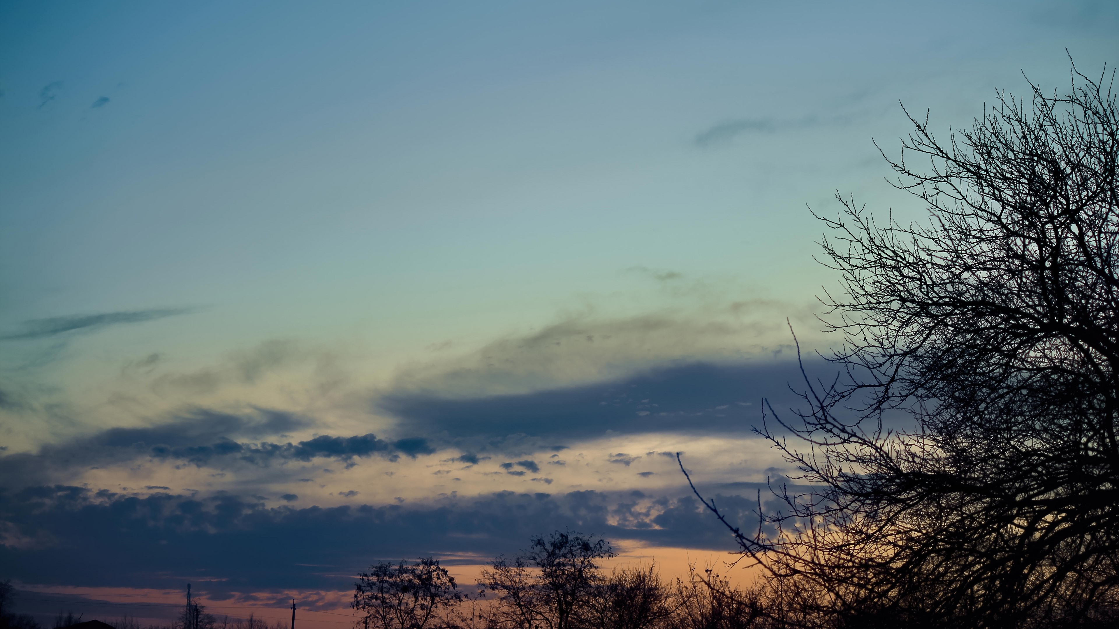 4K Sunset Sky with Silhouetted Trees HD Wallpaper