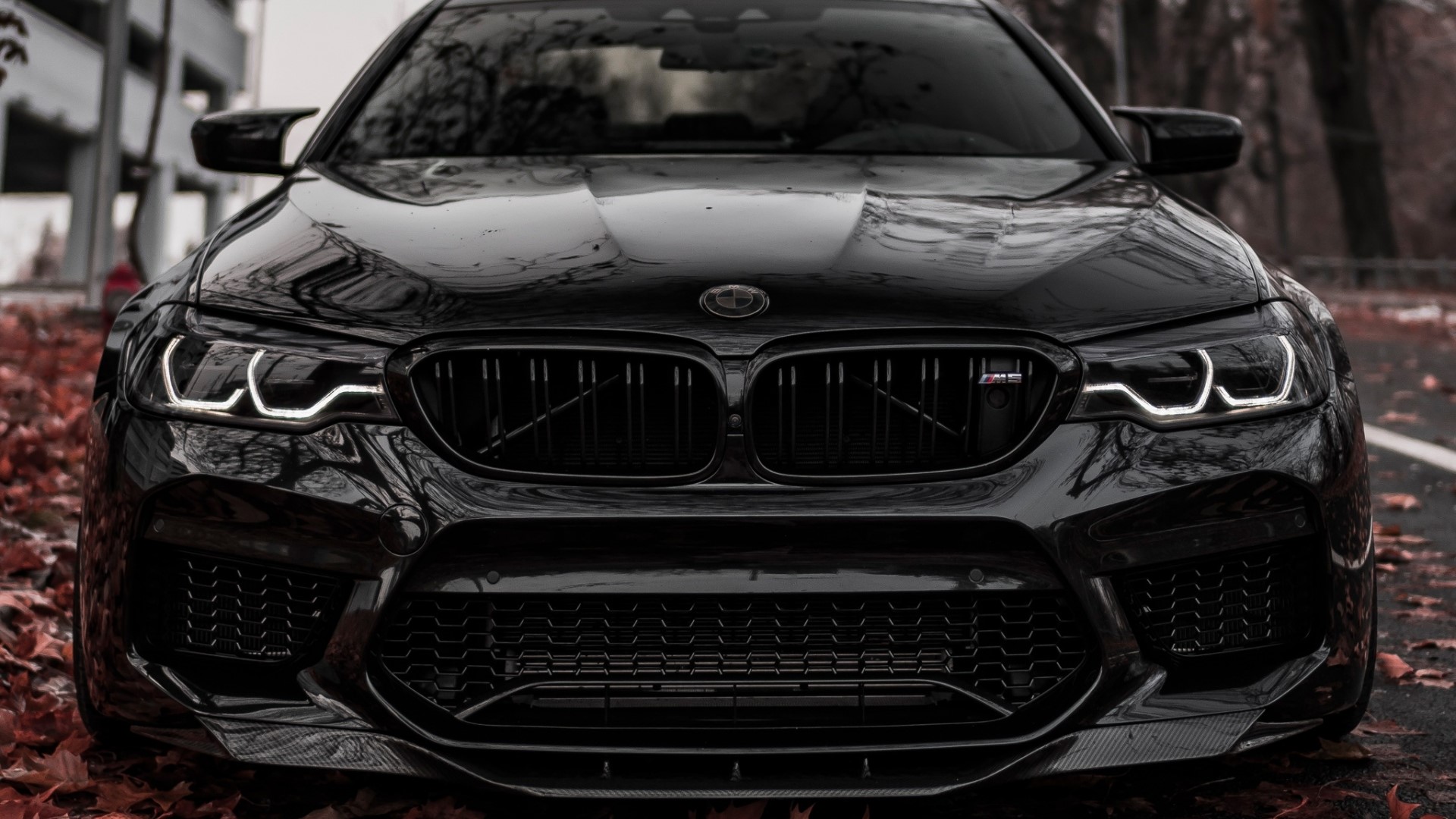 Black BMW M5 Front View HD Wallpaper