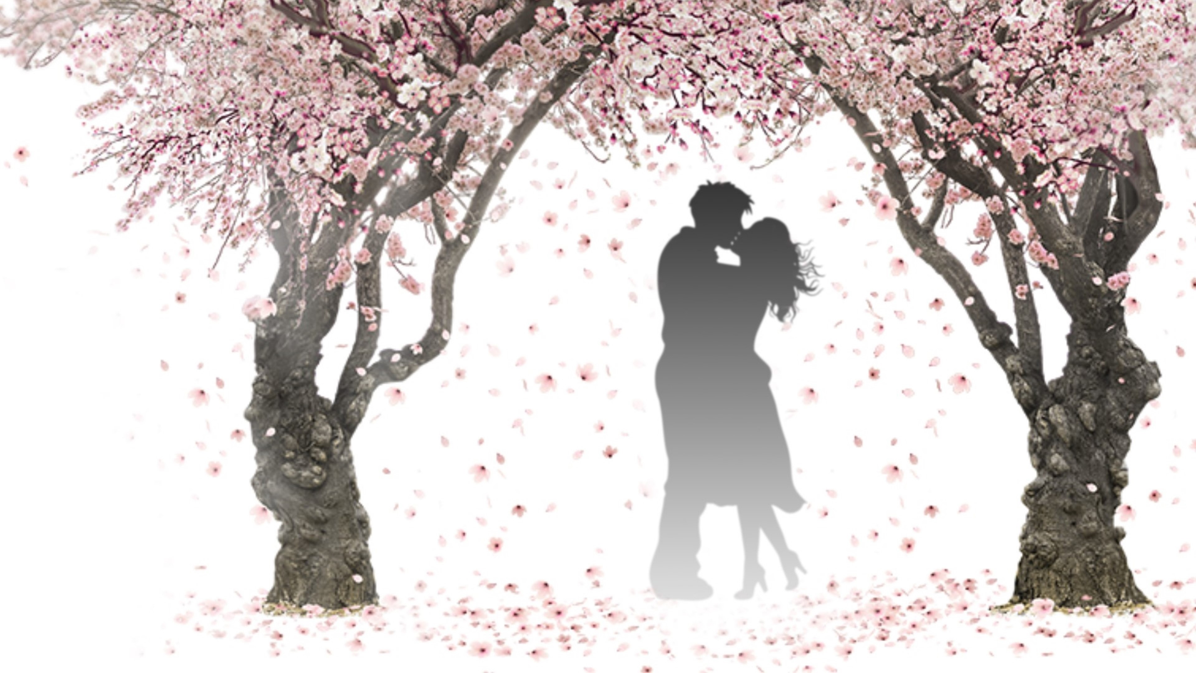 Couple kissing under blooming trees HD Wallpaper