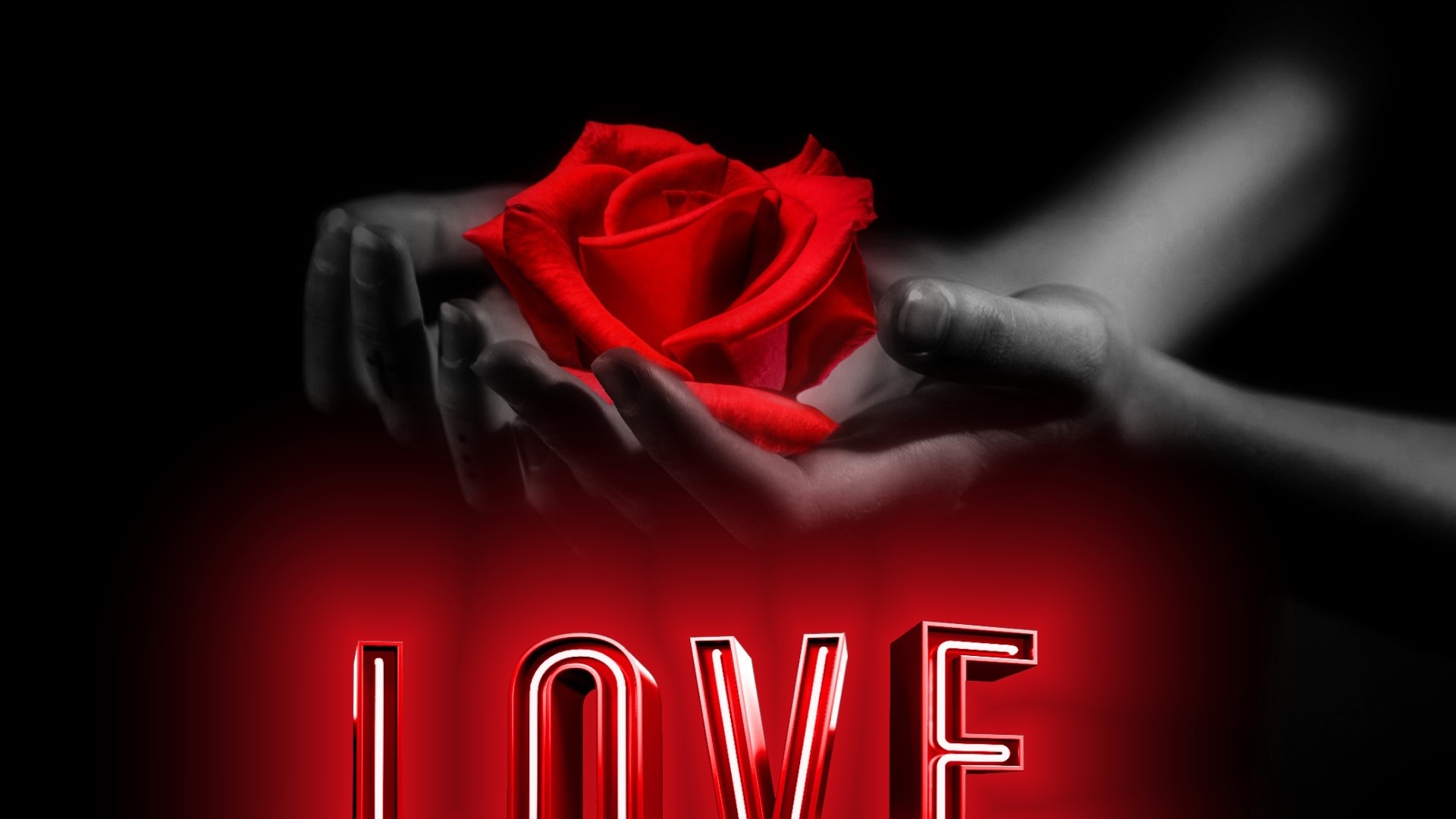 Red Rose in Hands with LOVE Neon Sign HD Wallpaper