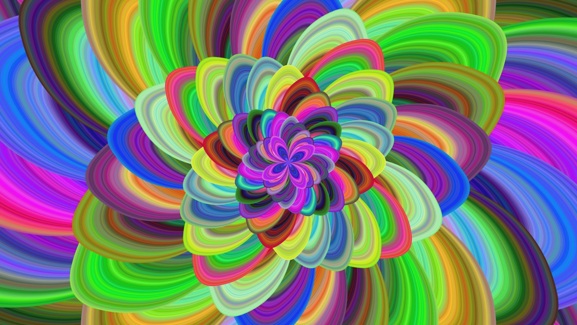Colorful abstract fractal flower pattern HD Wallpaper