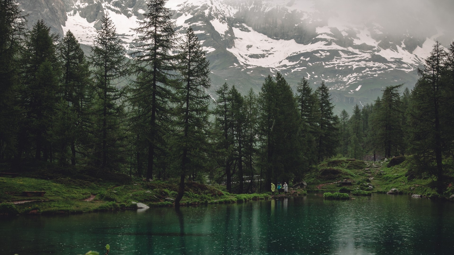 Lake and forest with snowy mountains HD Wallpaper