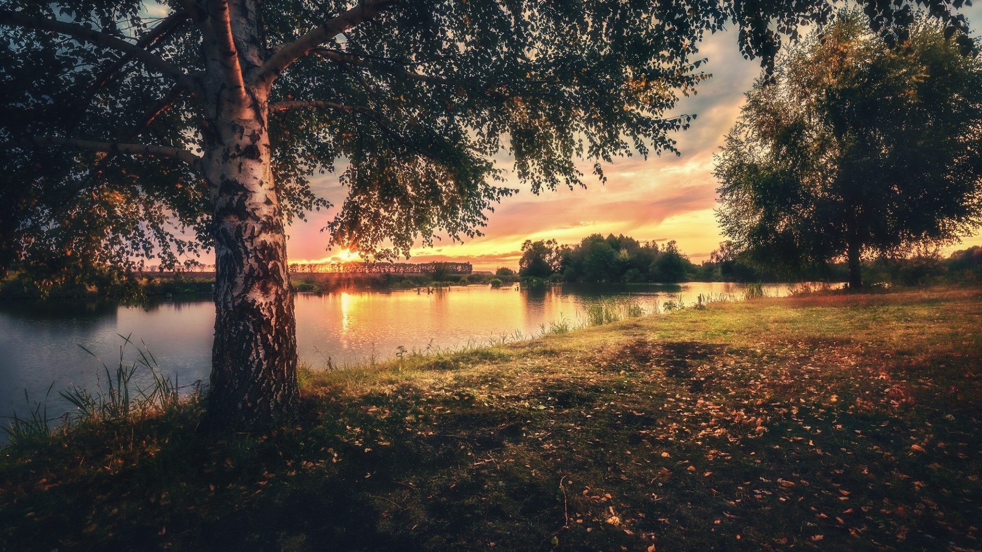 Rural landscape with lake and trees at sunset HD Wallpaper