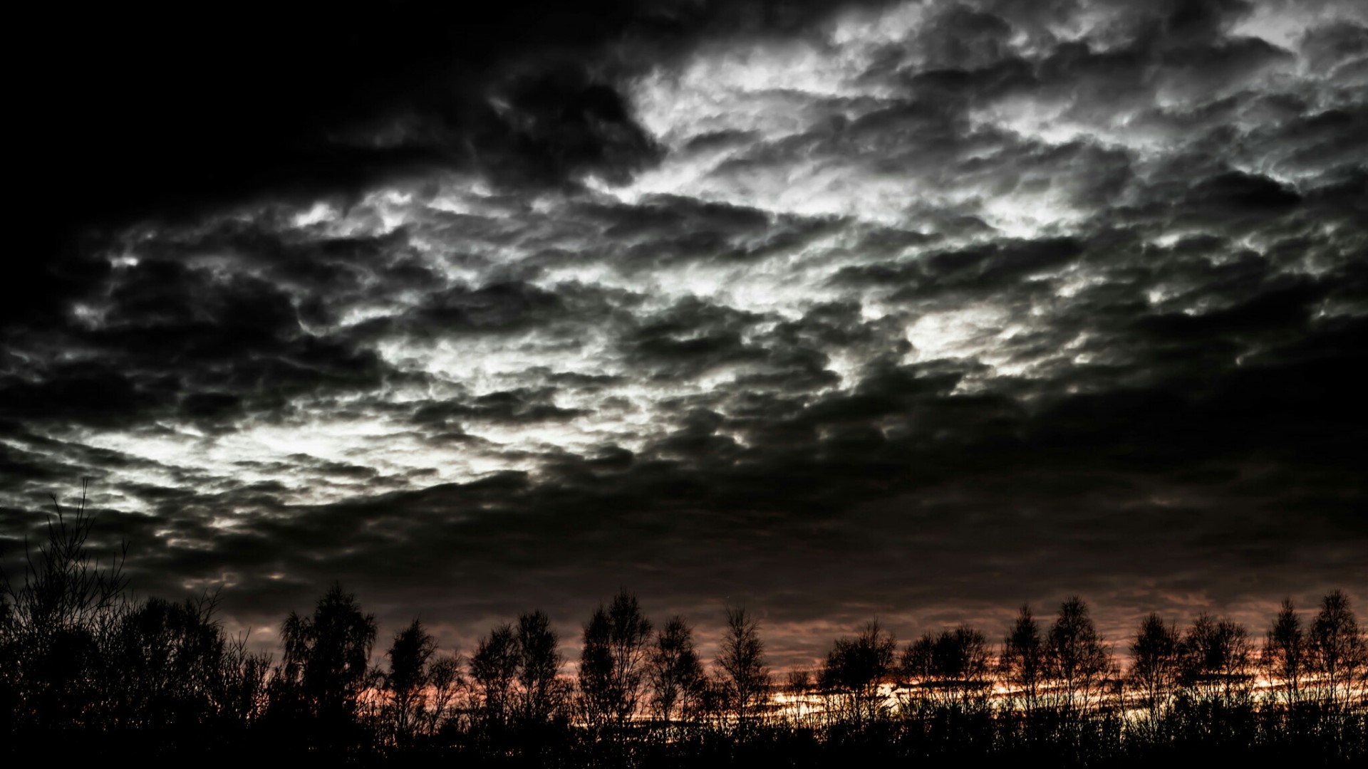 Dark clouds at dawn over silhouetted trees HD Wallpaper