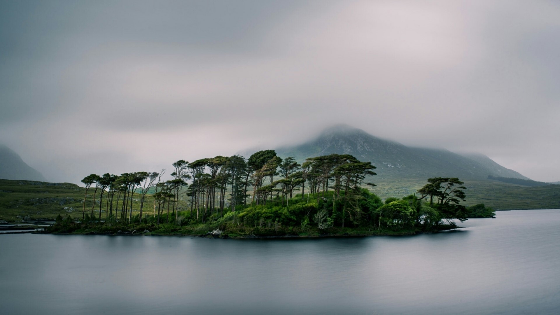 Island with trees in a lake under cloudy sky HD Wallpaper