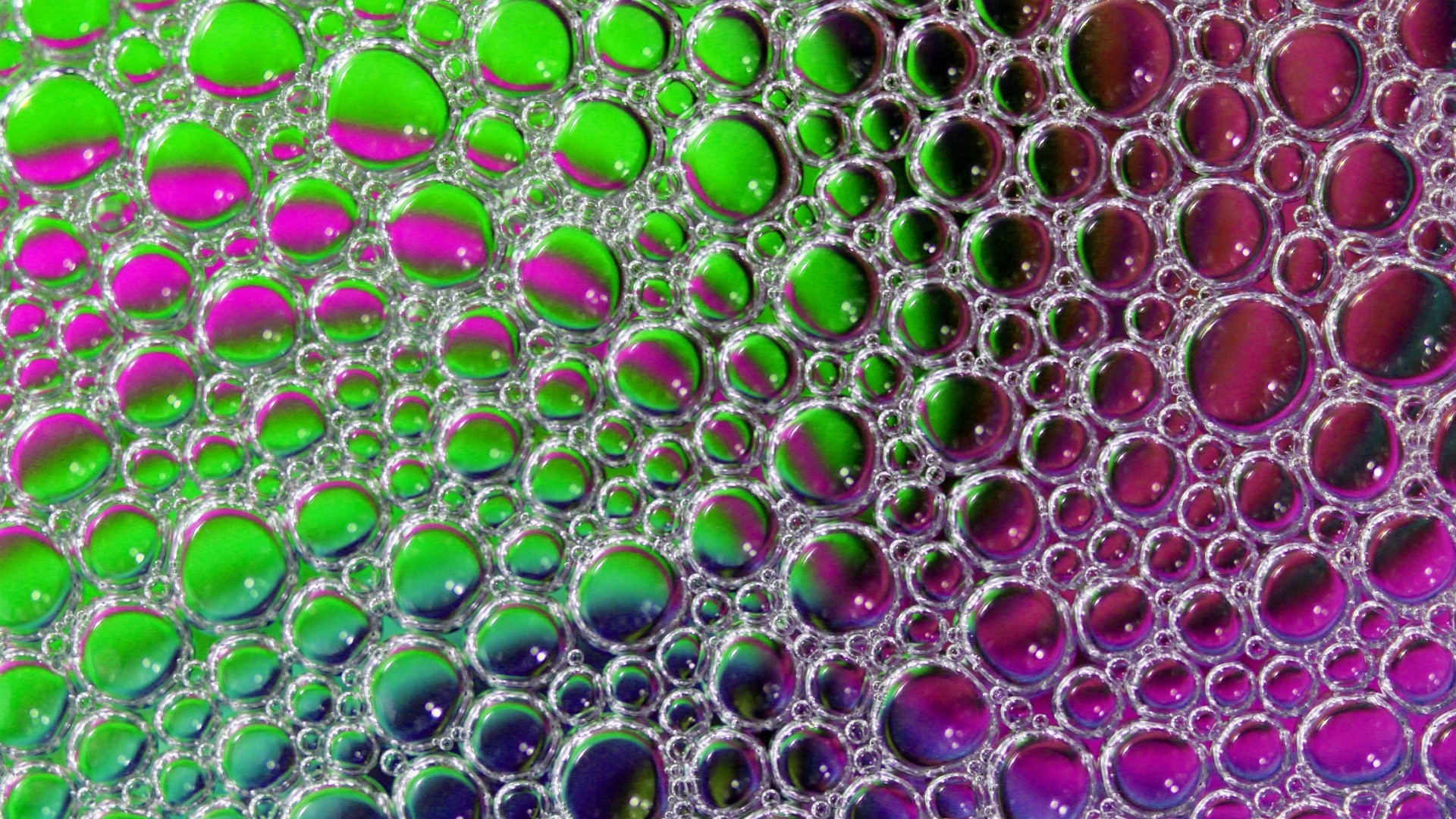 Close-up of colorful soap bubbles HD Wallpaper