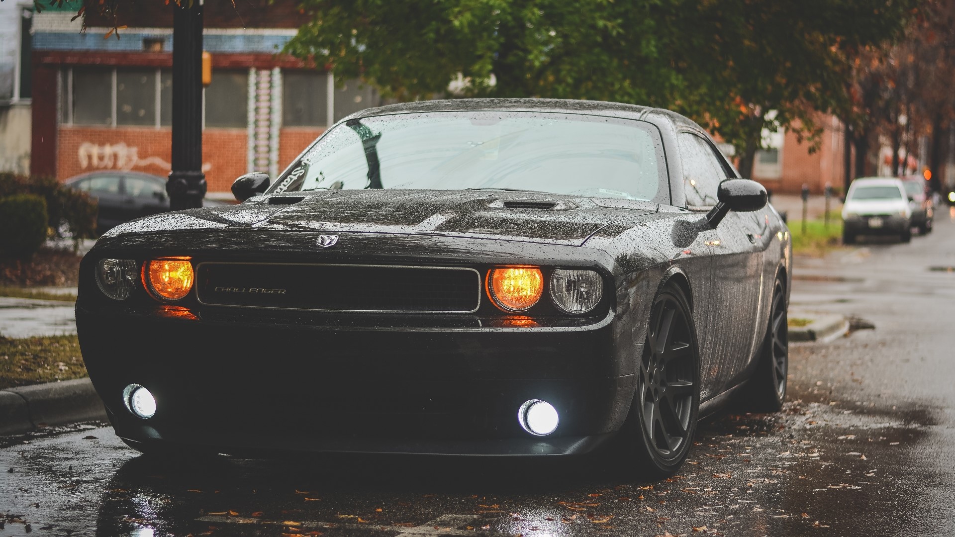 Black Dodge Challenger on a Wet Street HD Wallpaper