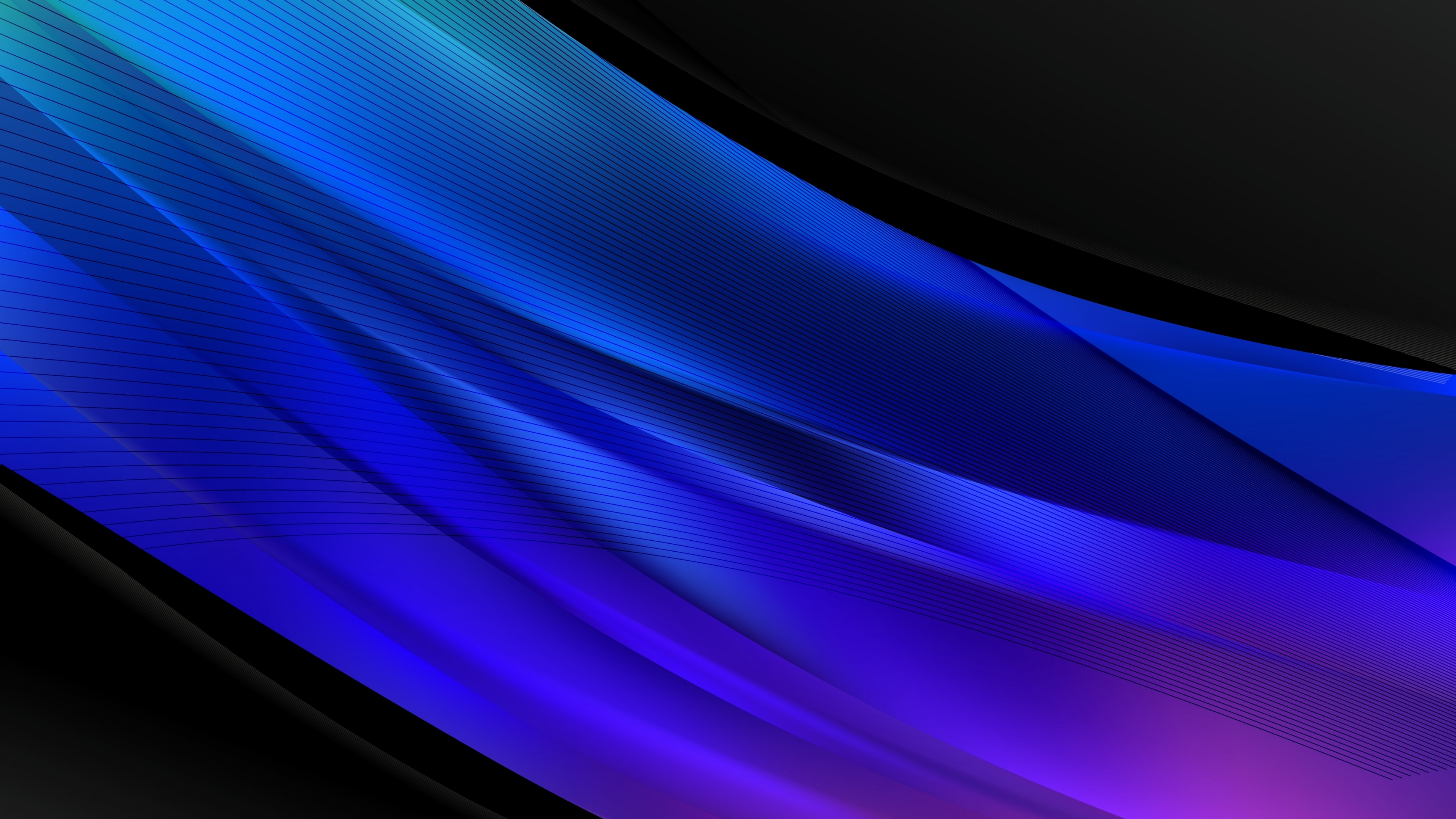 4K Abstract Blue and Purple Lines HD Wallpaper