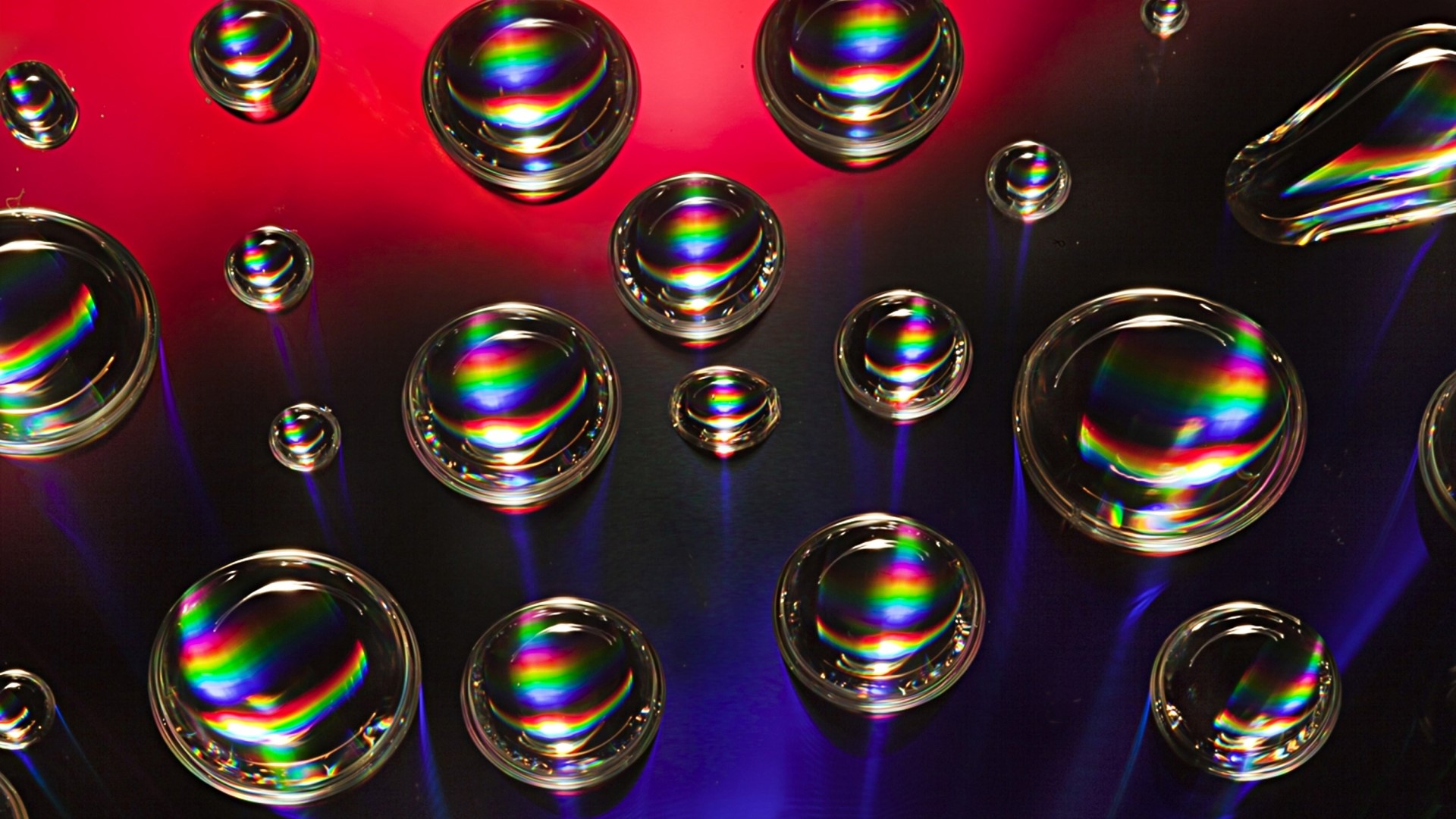 Water Drops with Rainbow Refraction HD Wallpaper