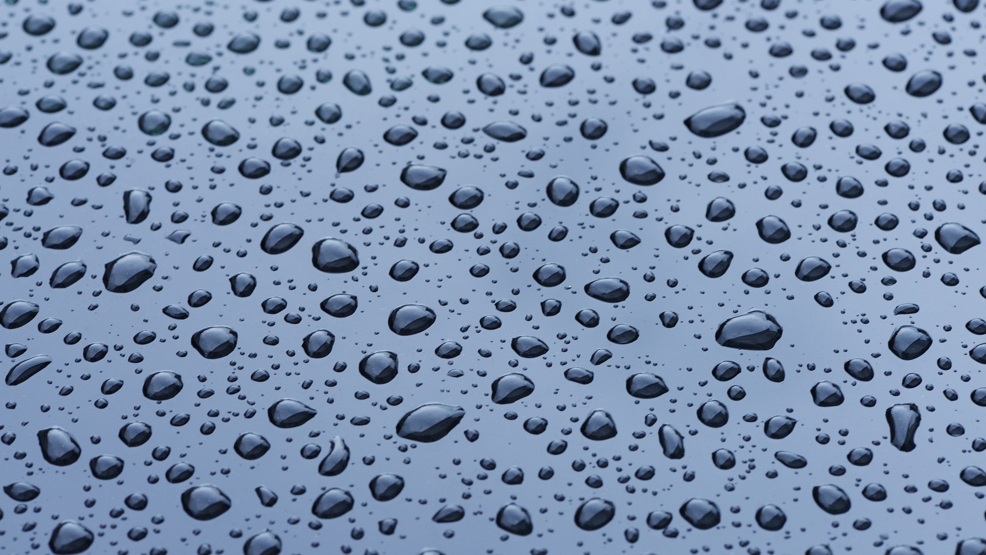 Water Drops on a Dark Surface HD Wallpaper