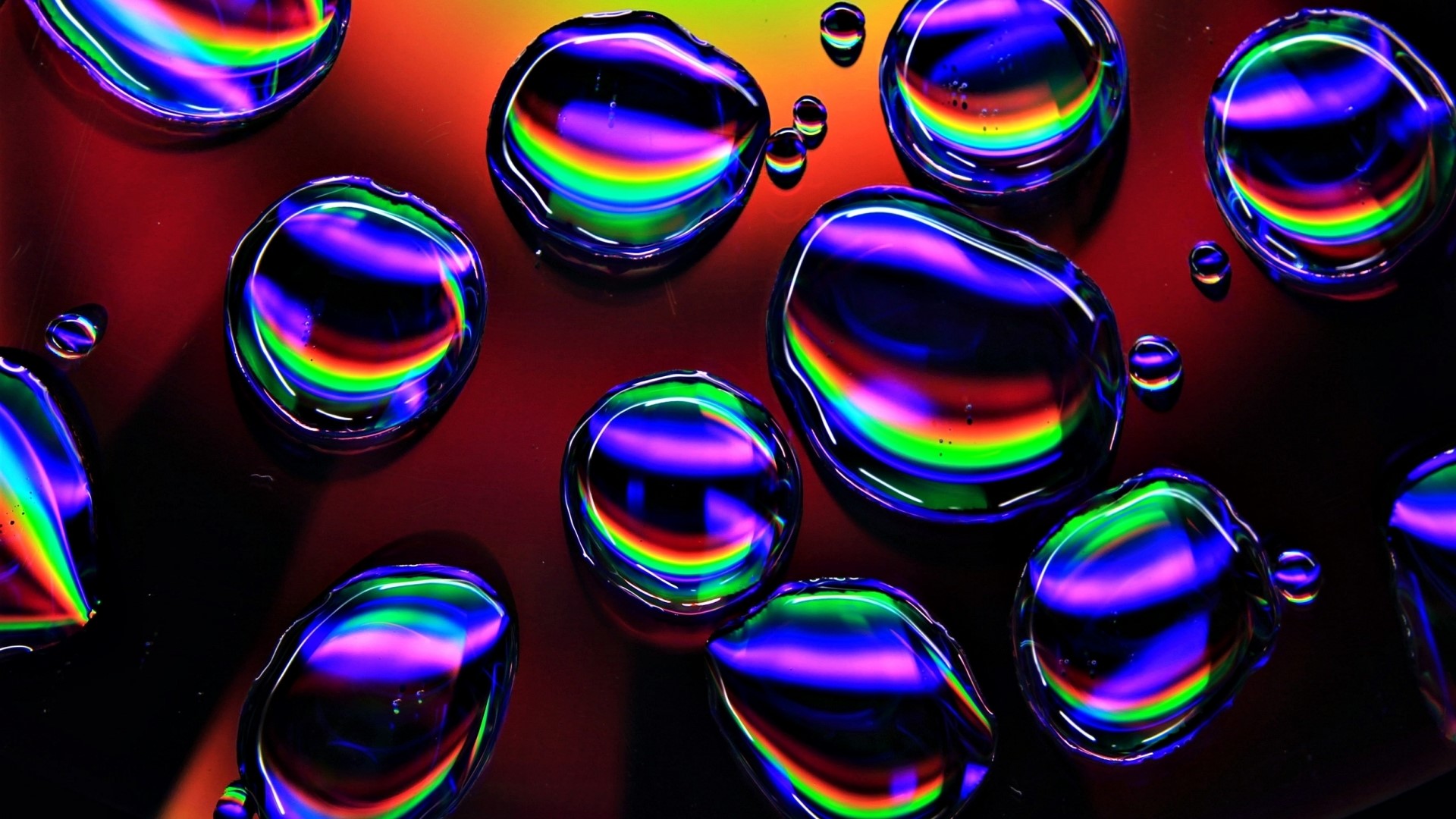 Rainbow light refraction on water drops HD Wallpaper