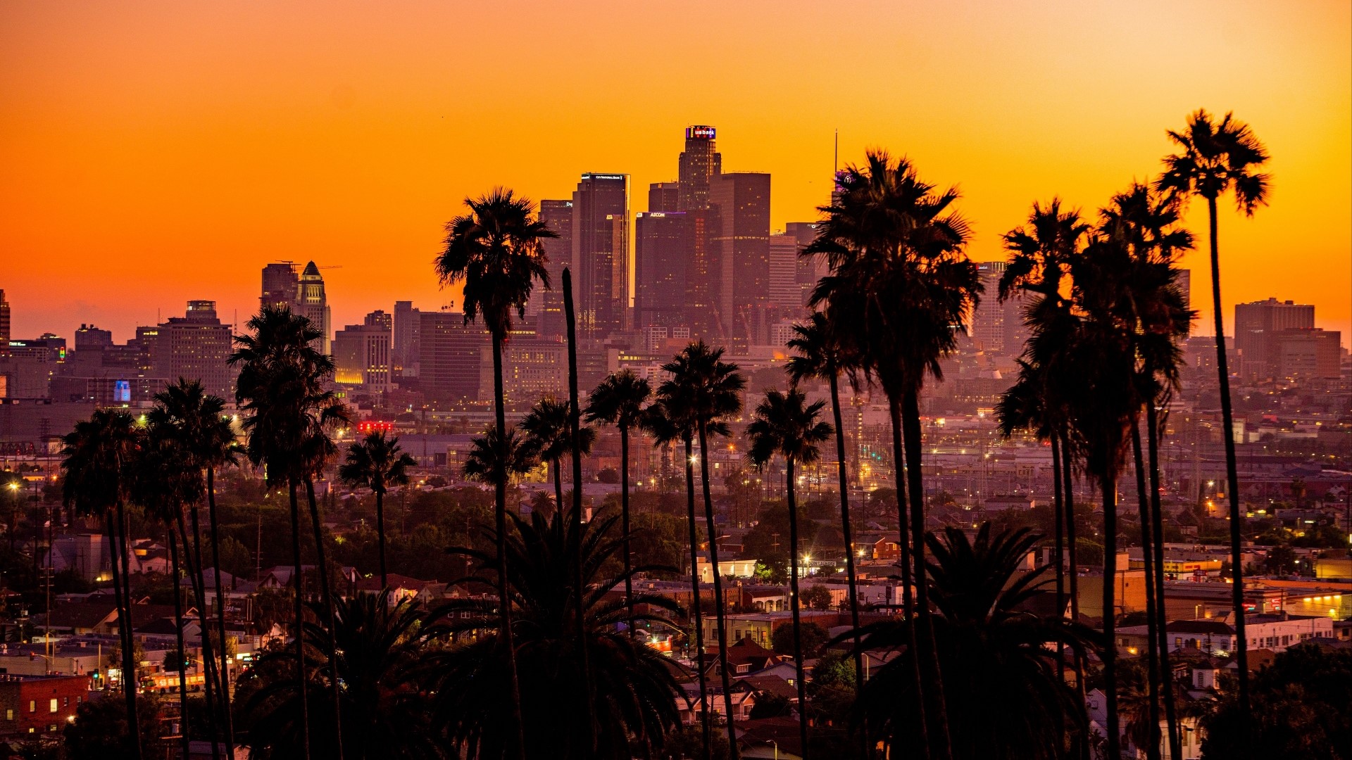 Los Angeles skyline at sunset with palm trees HD Wallpaper