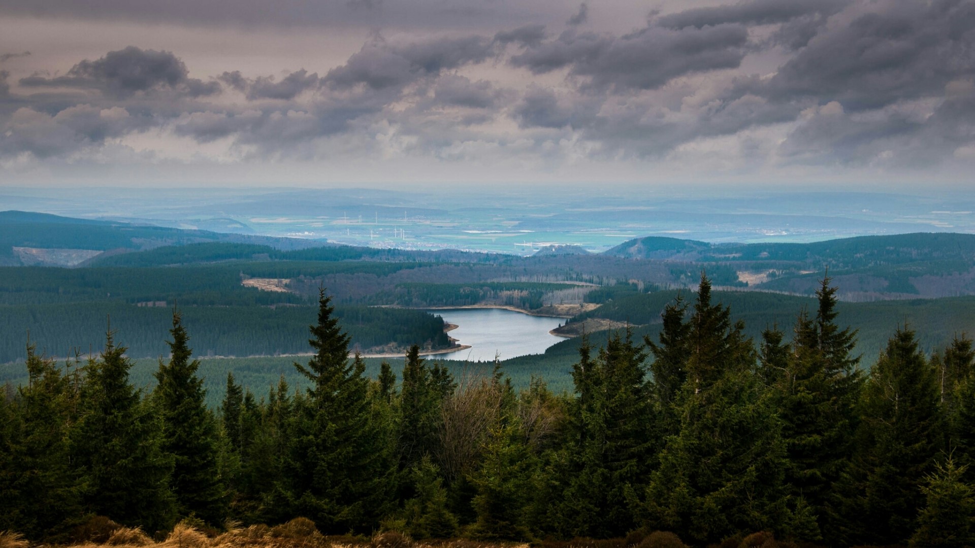 Overlooking a forest and lake with distant windmills HD Wallpaper