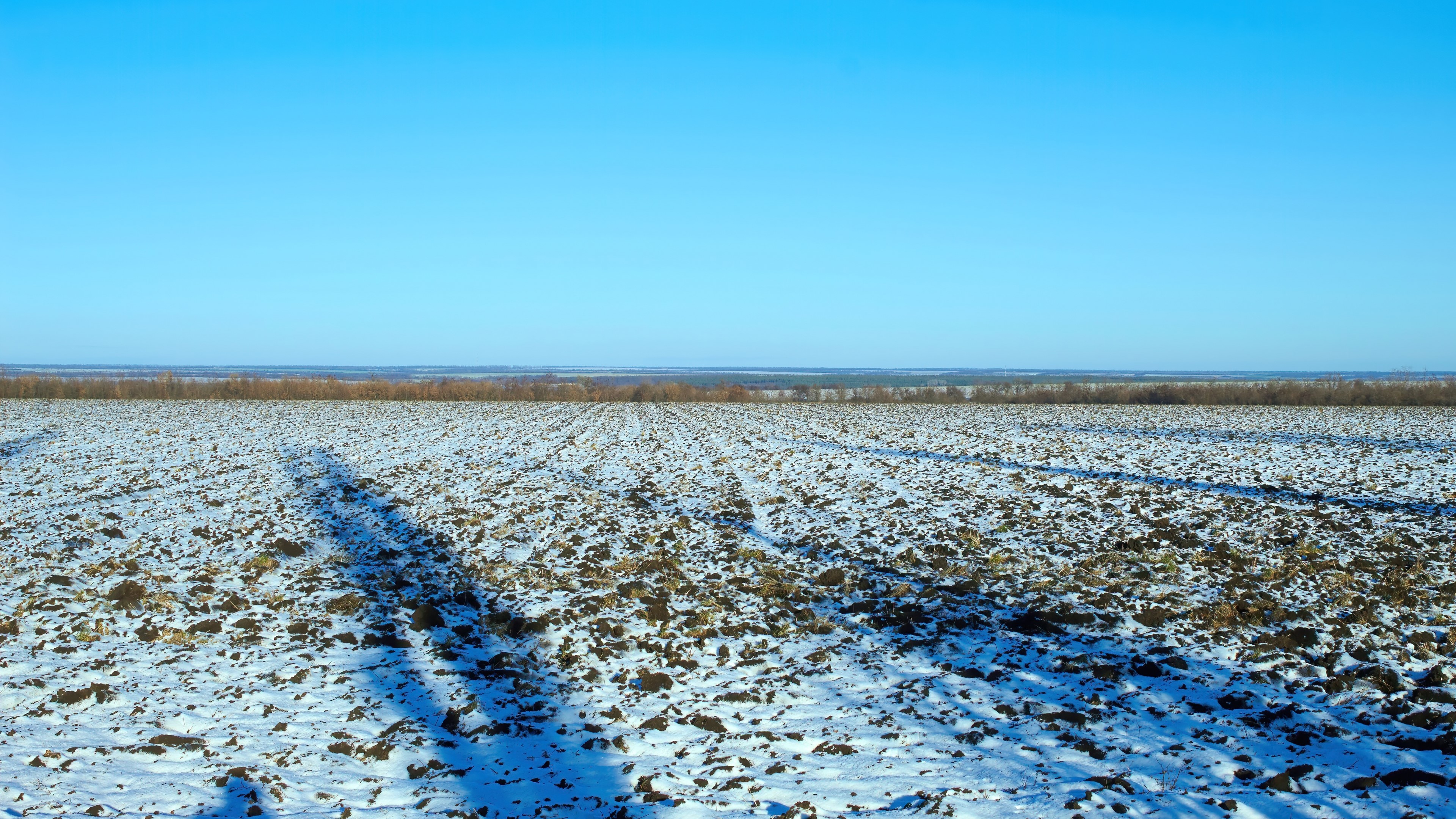 Snow-covered field under a clear blue sky HD Wallpaper