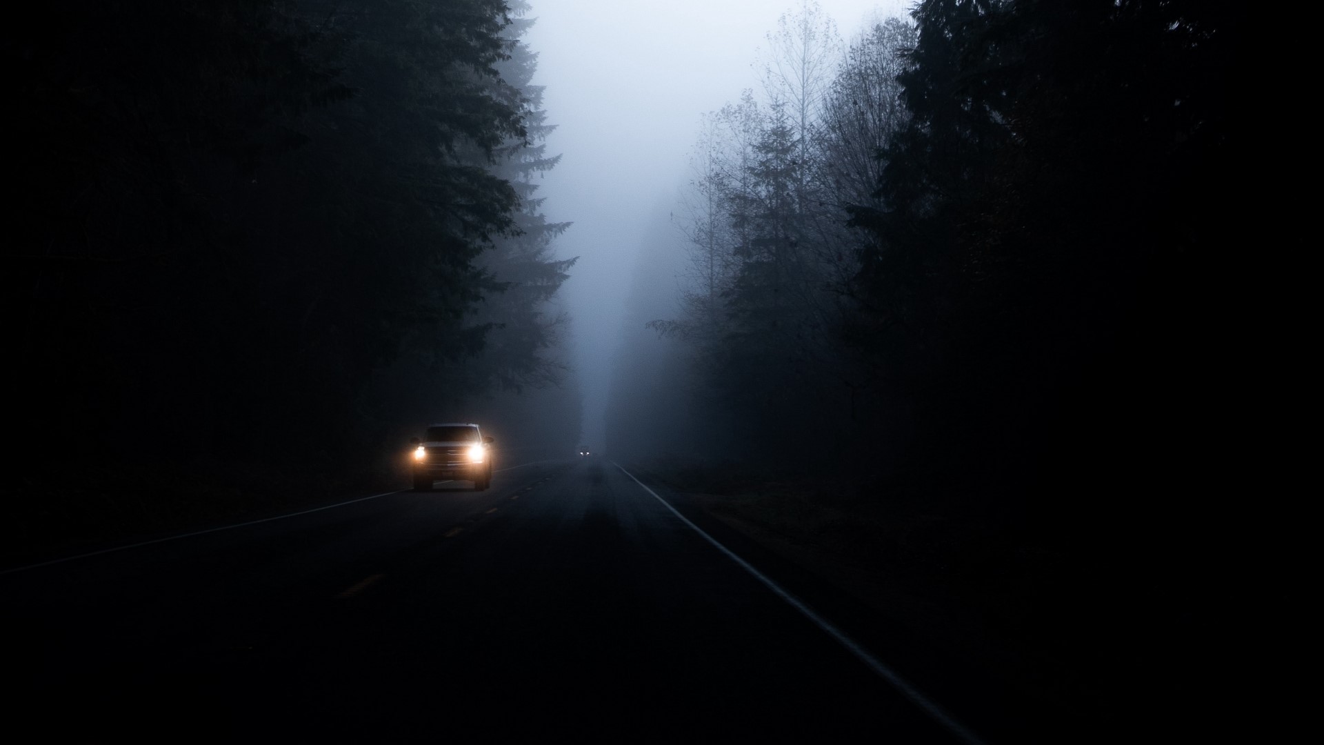 Car driving on a foggy road at night HD Wallpaper